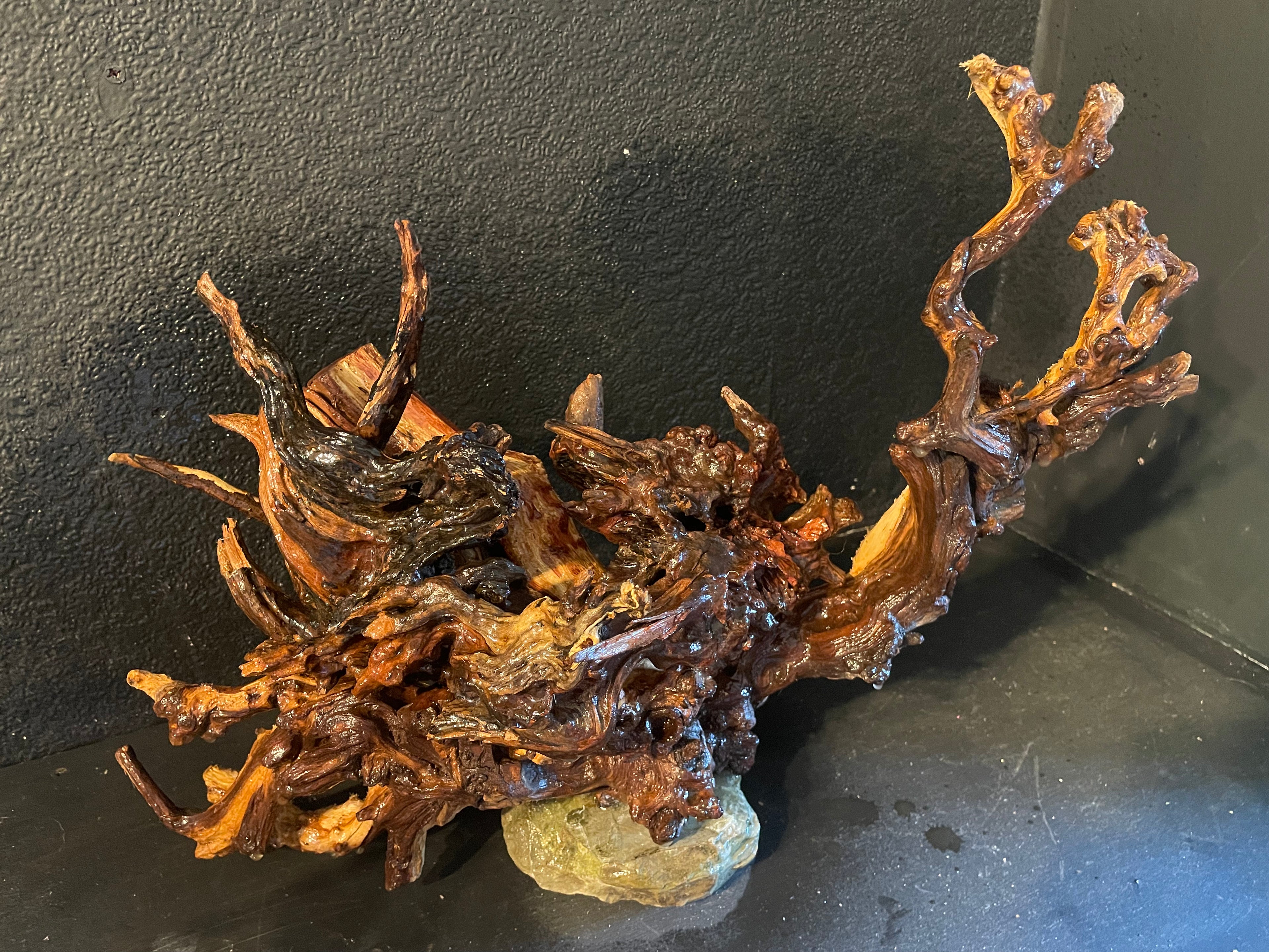 Aquarium Driftwood Handcrafted Aquascape Unique -The Heart Of Yggdrasil