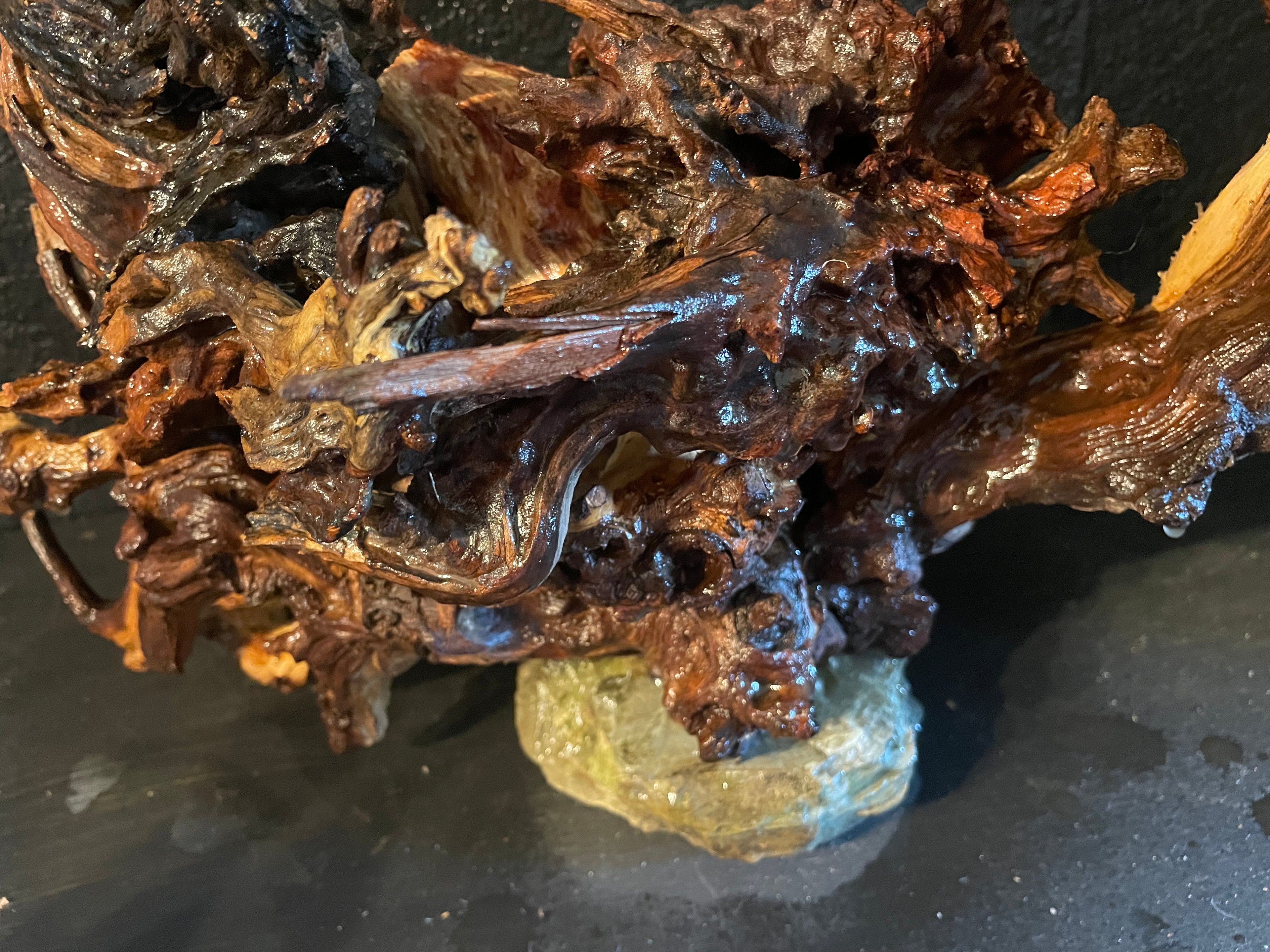 Aquarium Driftwood Handcrafted Aquascape Unique -The Heart Of Yggdrasil