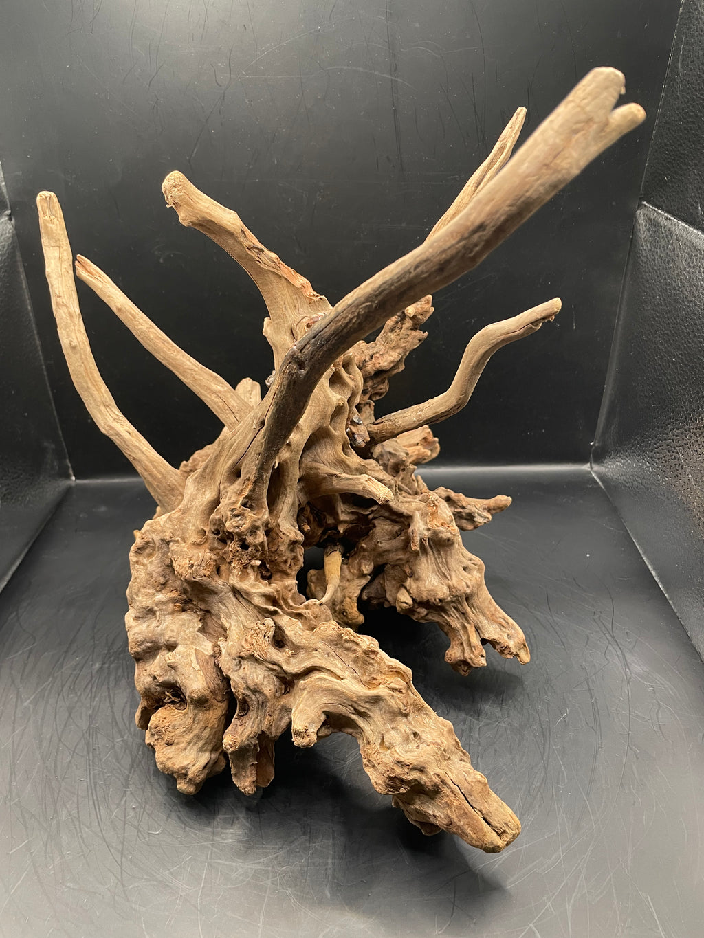 Aquarium Driftwood, Handcrafted Aquascape Unique Decoration- The Den Of Typhon