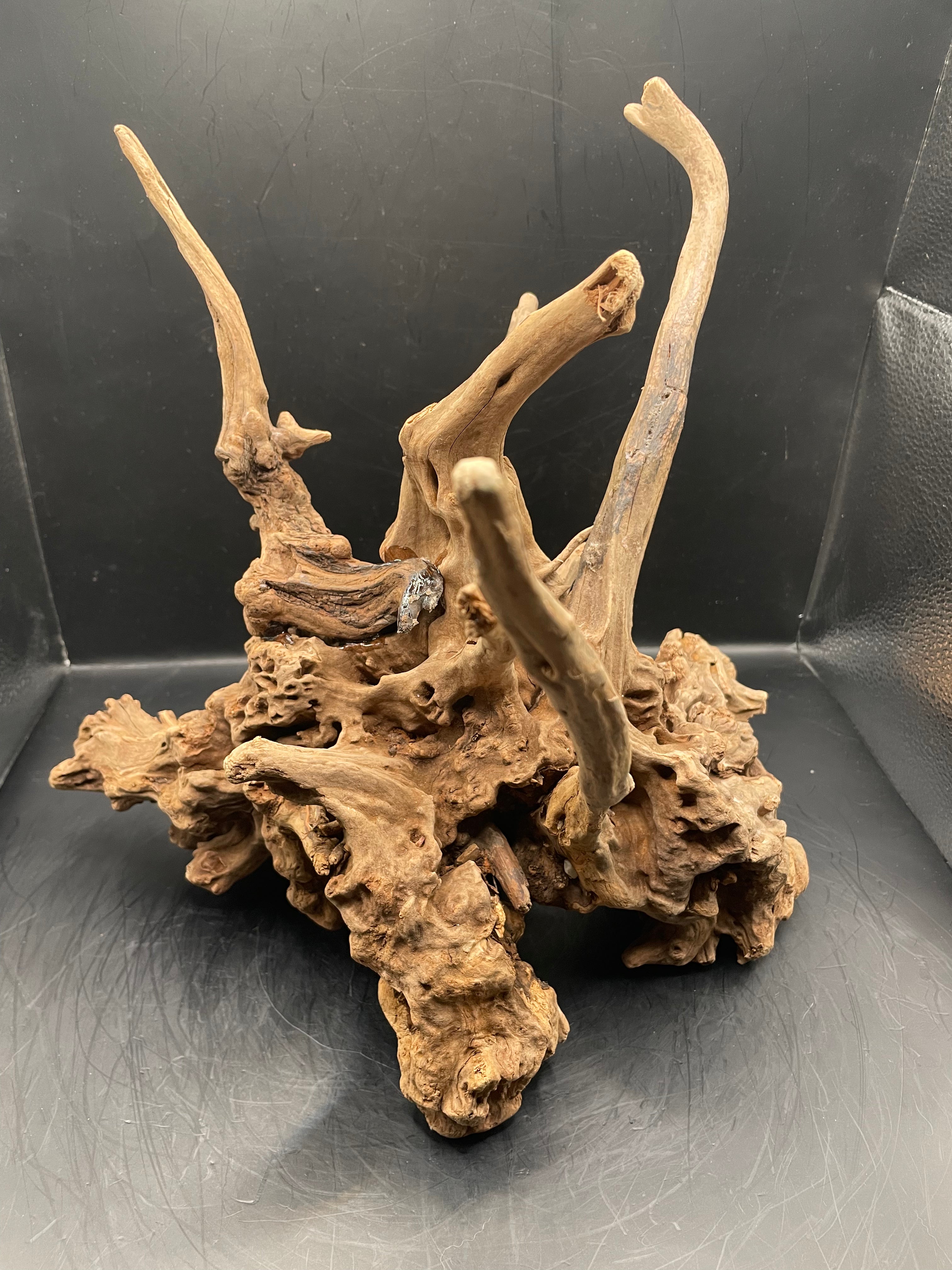 Aquarium Driftwood, Handcrafted Aquascape Unique Decoration- The Den Of Typhon