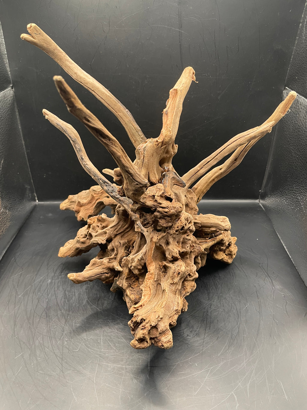 Aquarium Driftwood, Handcrafted Aquascape Unique Decoration- The Den Of Typhon