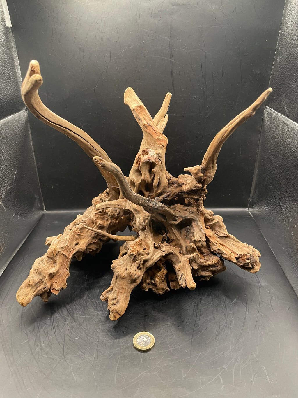 Aquarium Driftwood, Handcrafted Aquascape Unique Decoration- The Den Of Typhon
