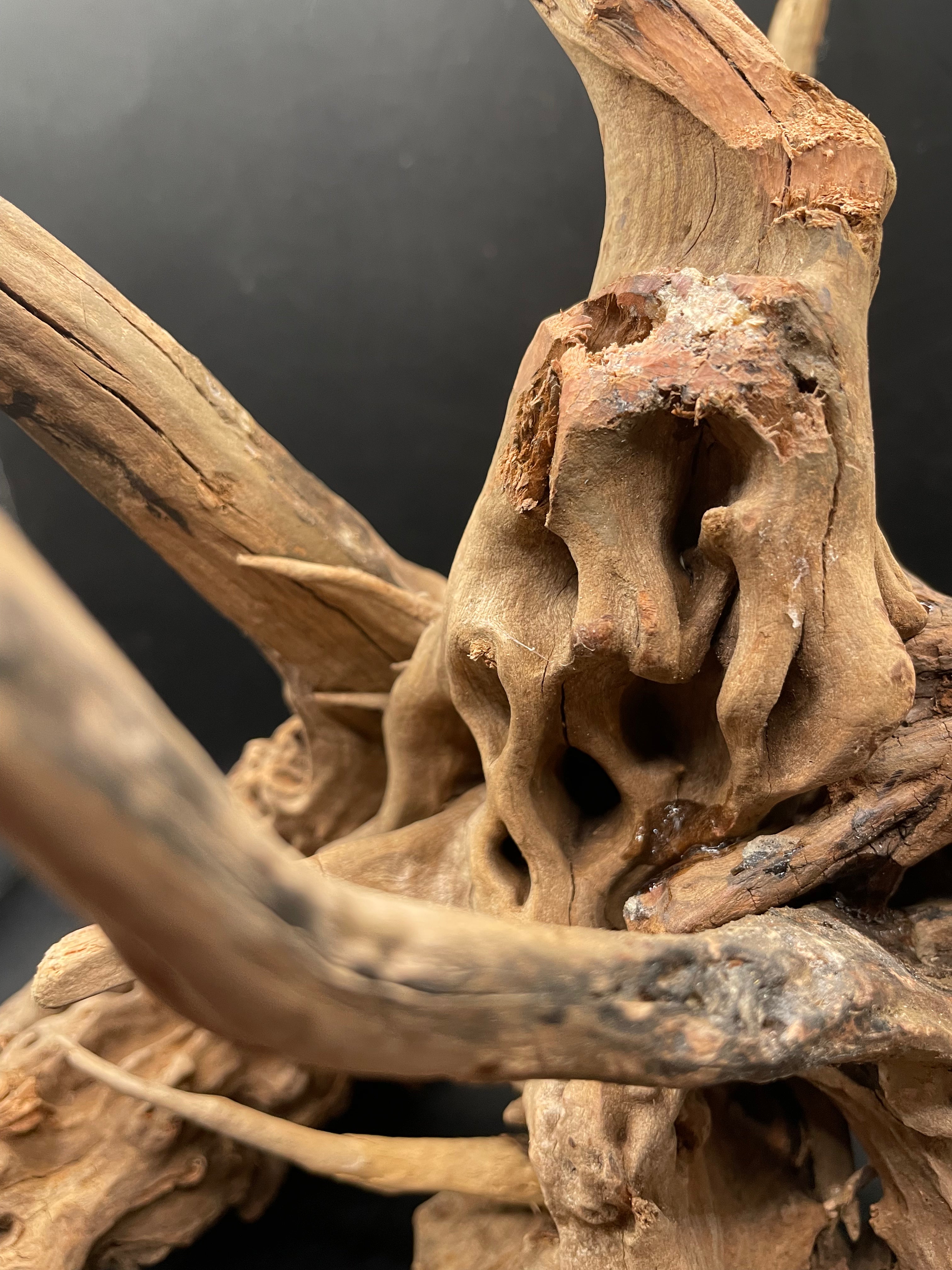 Aquarium Driftwood, Handcrafted Aquascape Unique Decoration- The Den Of Typhon
