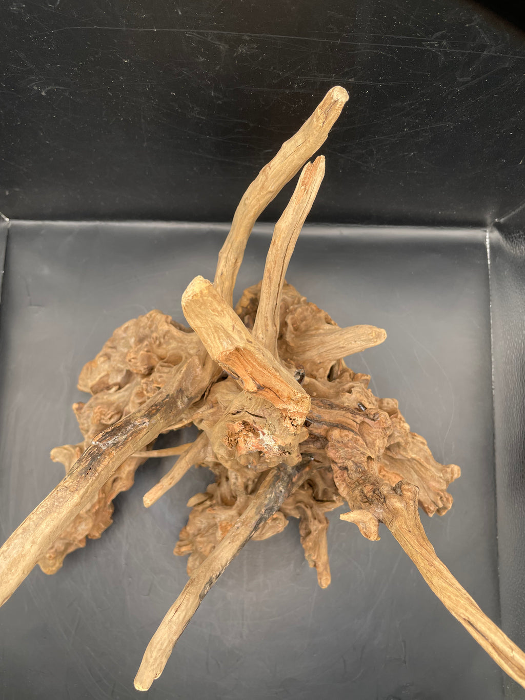 Aquarium Driftwood, Handcrafted Aquascape Unique Decoration- The Den Of Typhon