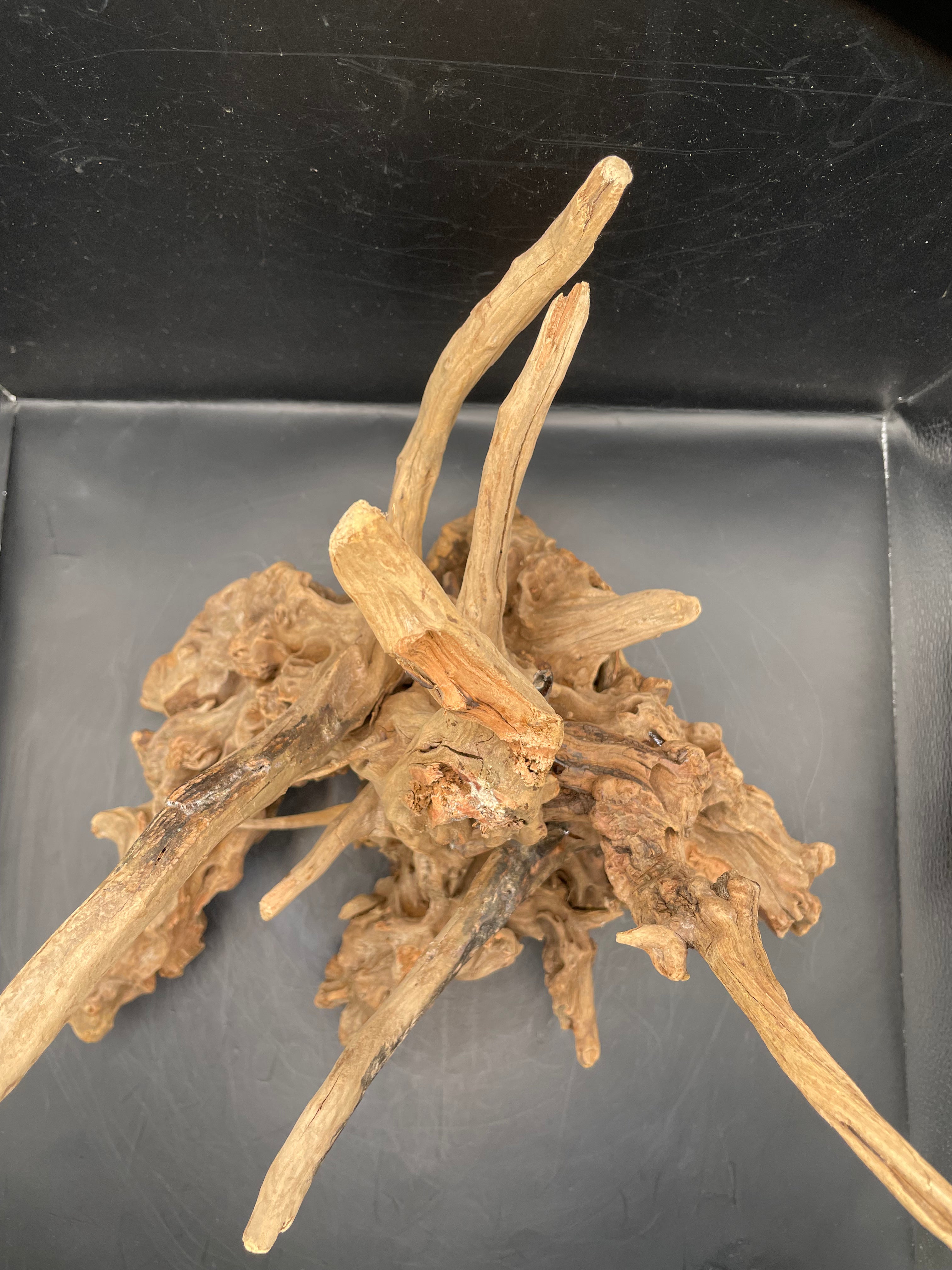 Aquarium Driftwood, Handcrafted Aquascape Unique Decoration- The Den Of Typhon
