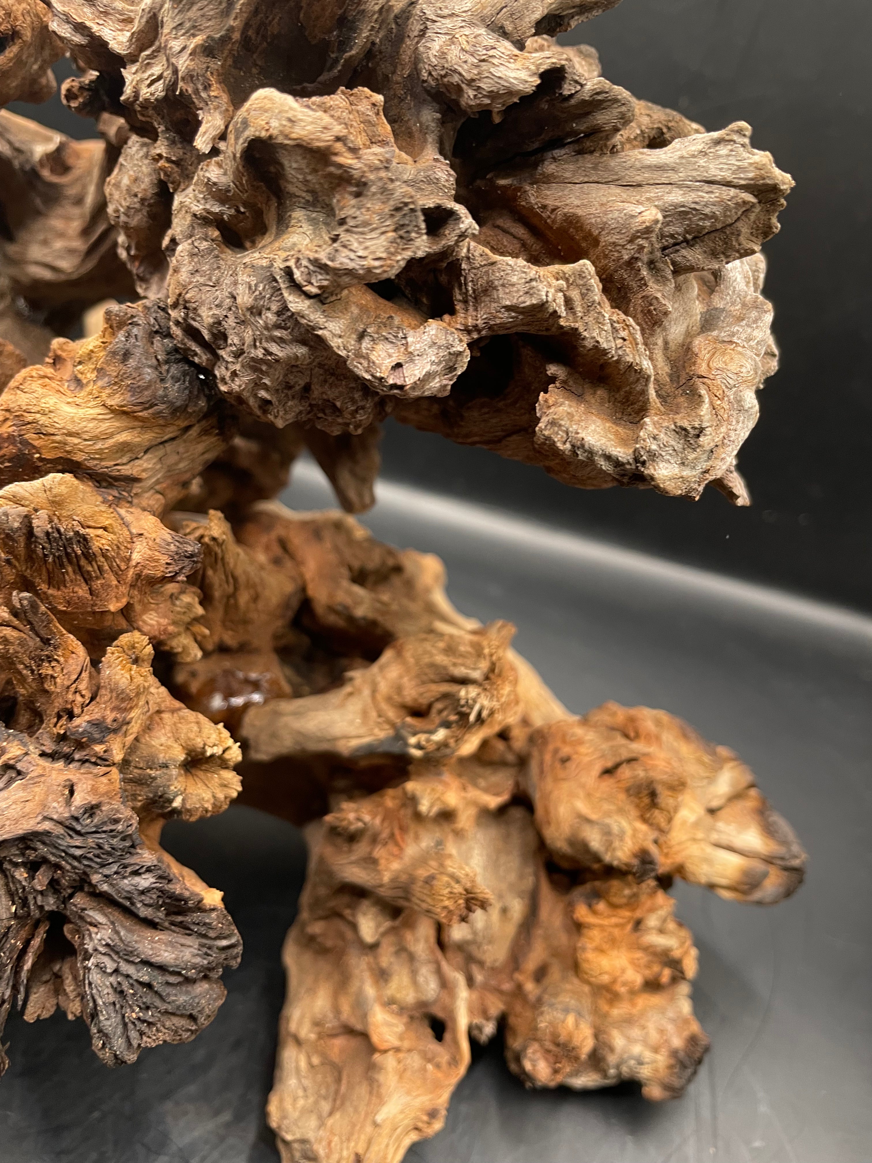 Aquarium Driftwood, Handcrafted Aquascape Unique Decoration- Charred Bastion