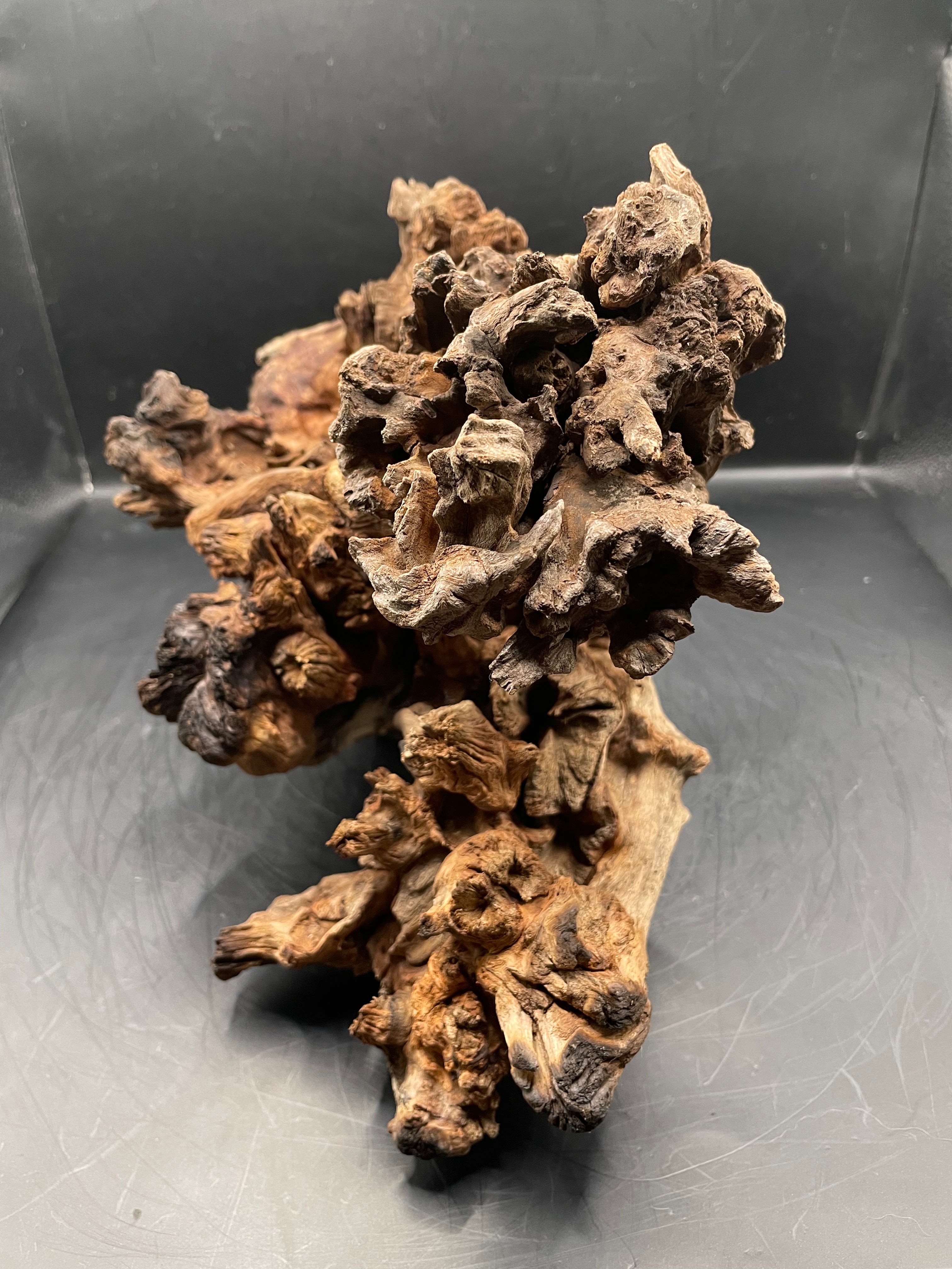Aquarium Driftwood, Handcrafted Aquascape Unique Decoration- Charred Bastion