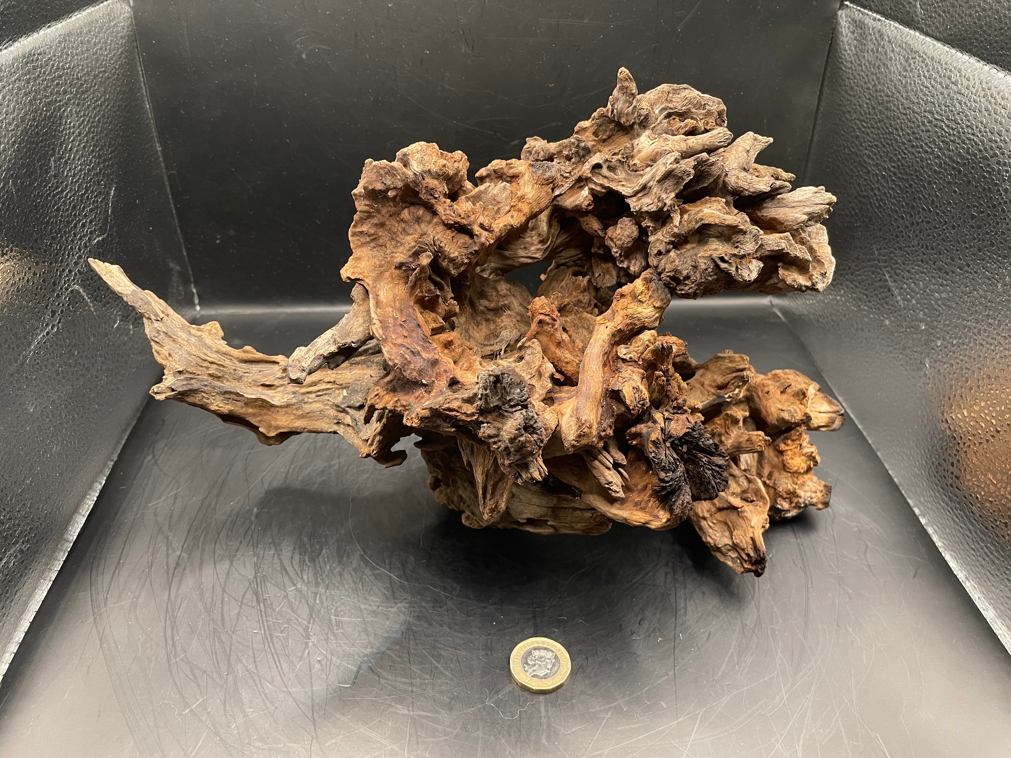Aquarium Driftwood, Handcrafted Aquascape Unique Decoration- Charred Bastion
