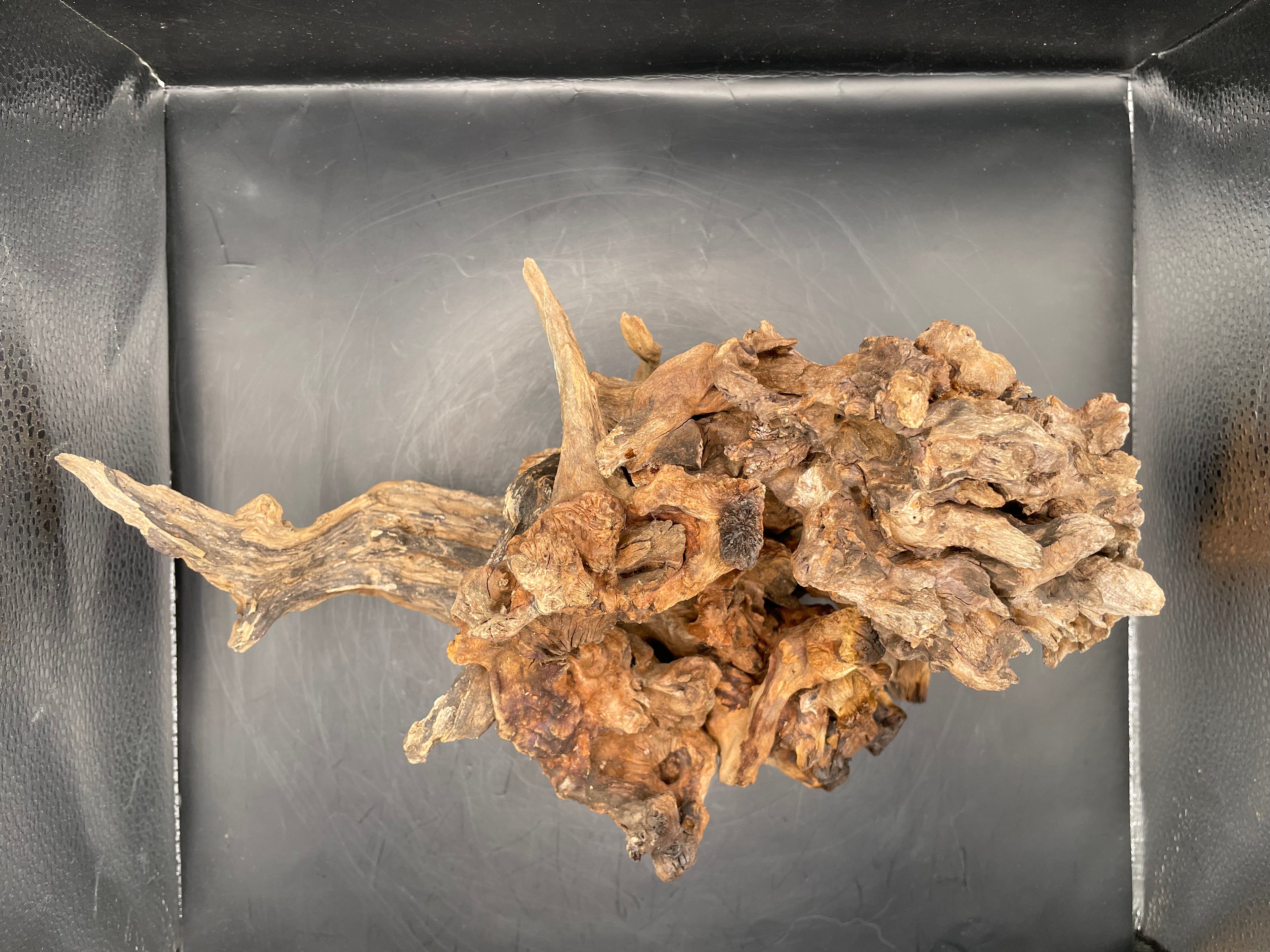 Aquarium Driftwood, Handcrafted Aquascape Unique Decoration- Charred Bastion