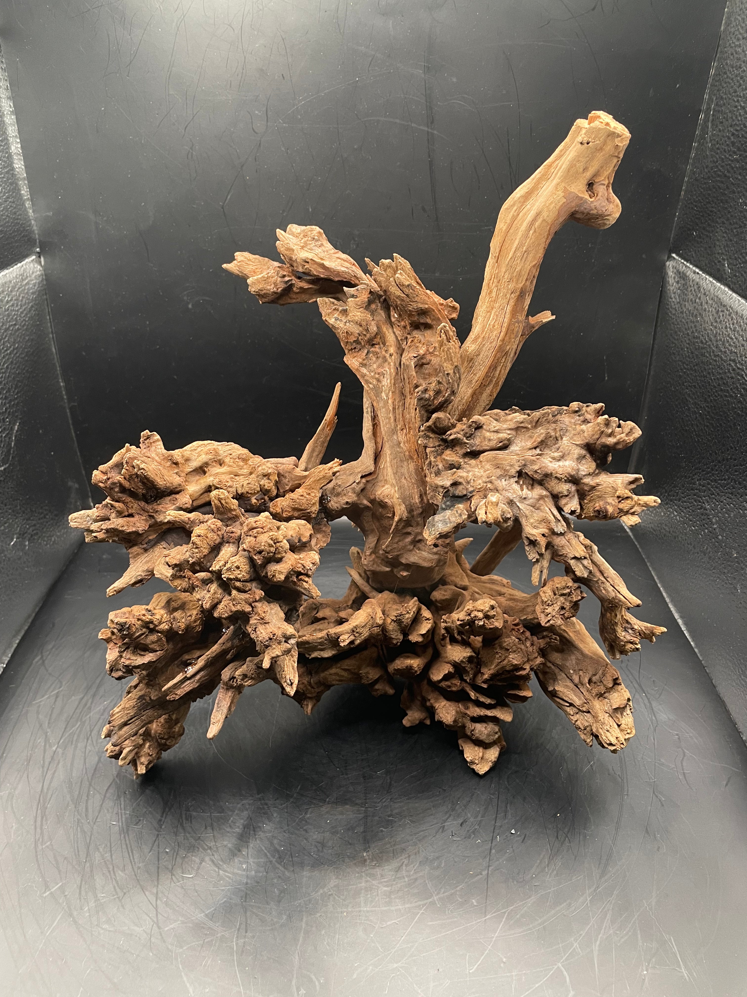 Aquarium Driftwood, Handcrafted Aquascape Unique Decoration- Drakthar’s Root
