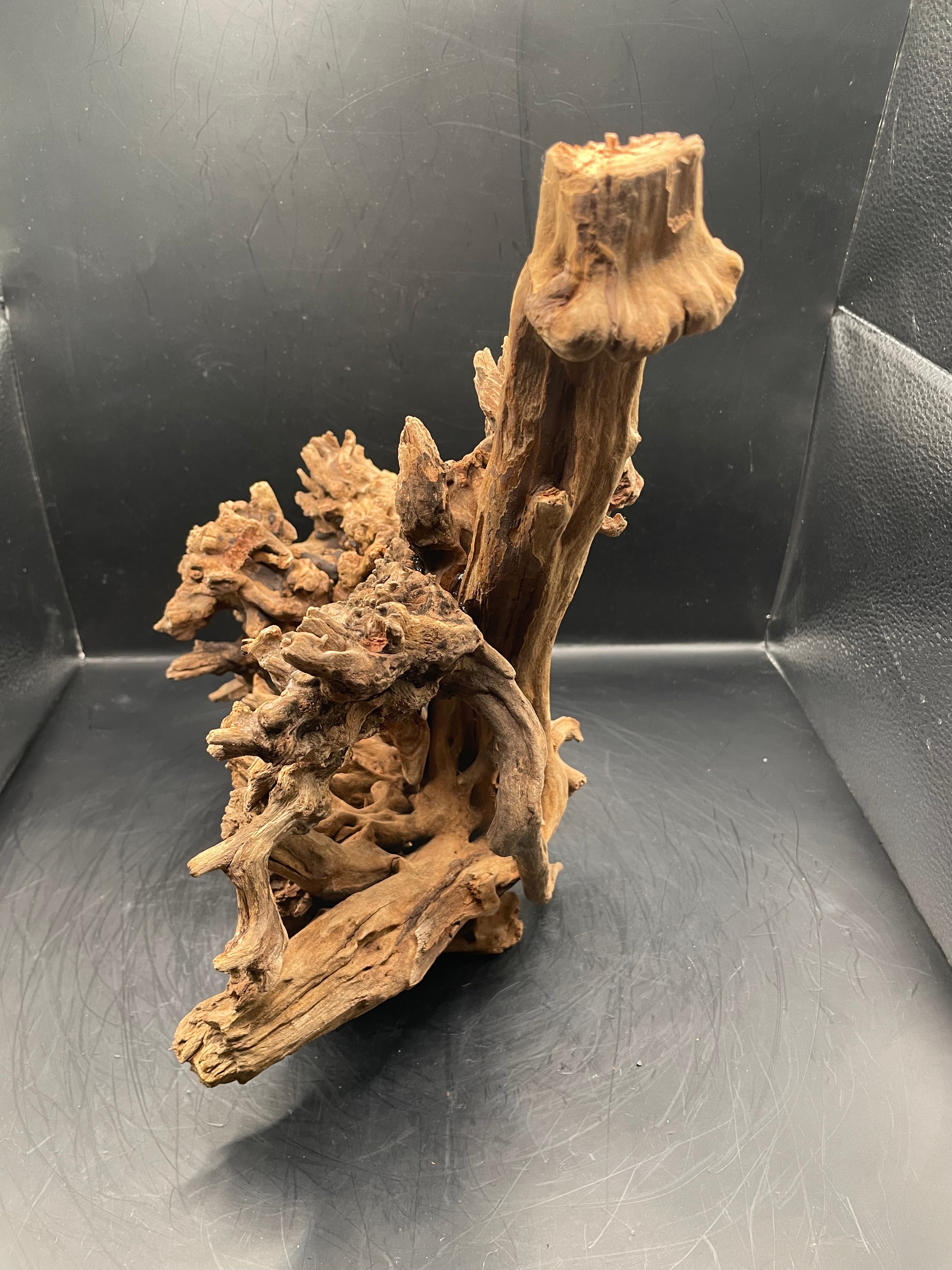 Aquarium Driftwood, Handcrafted Aquascape Unique Decoration- Drakthar’s Root