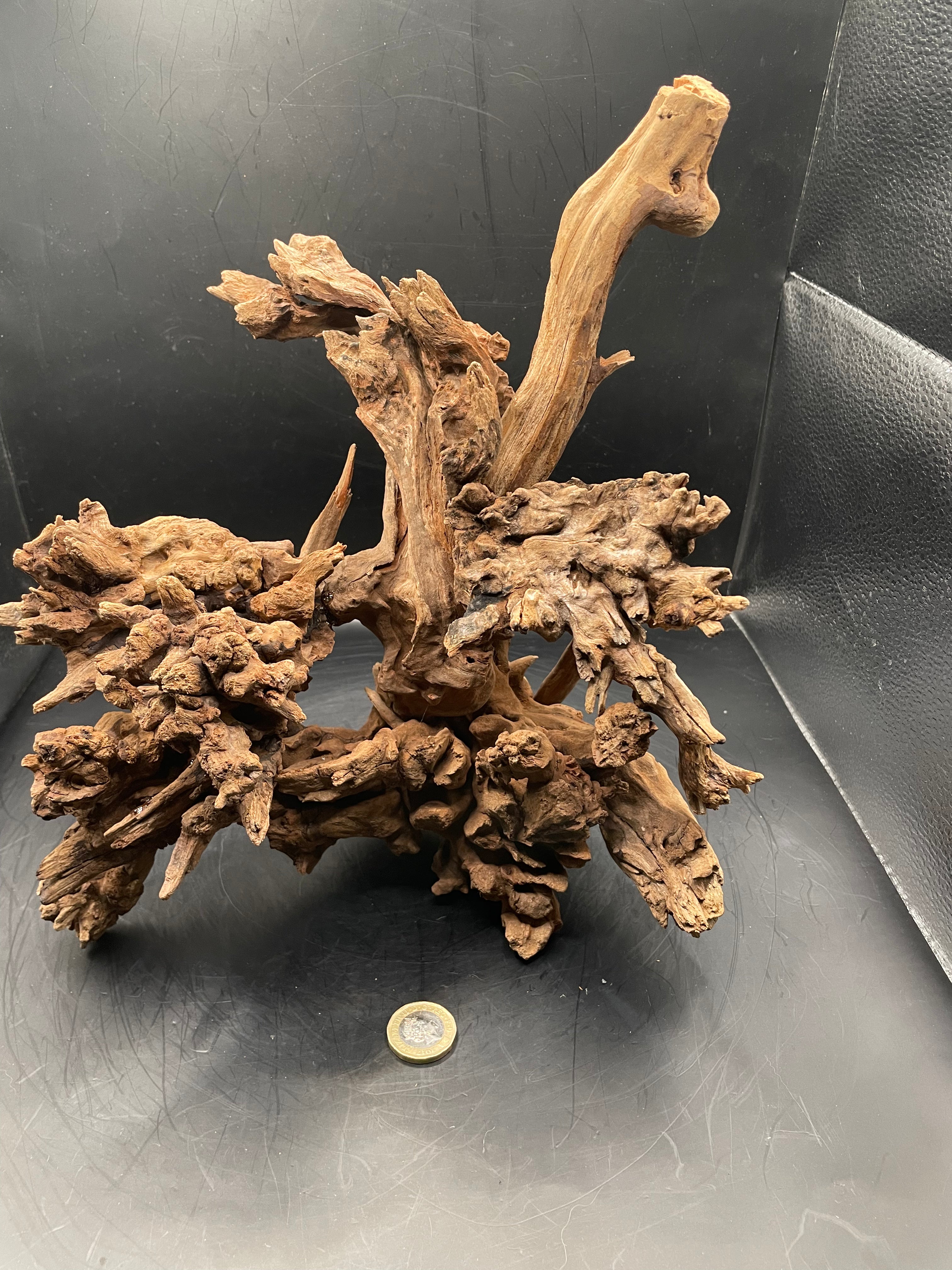 Aquarium Driftwood, Handcrafted Aquascape Unique Decoration- Drakthar’s Root