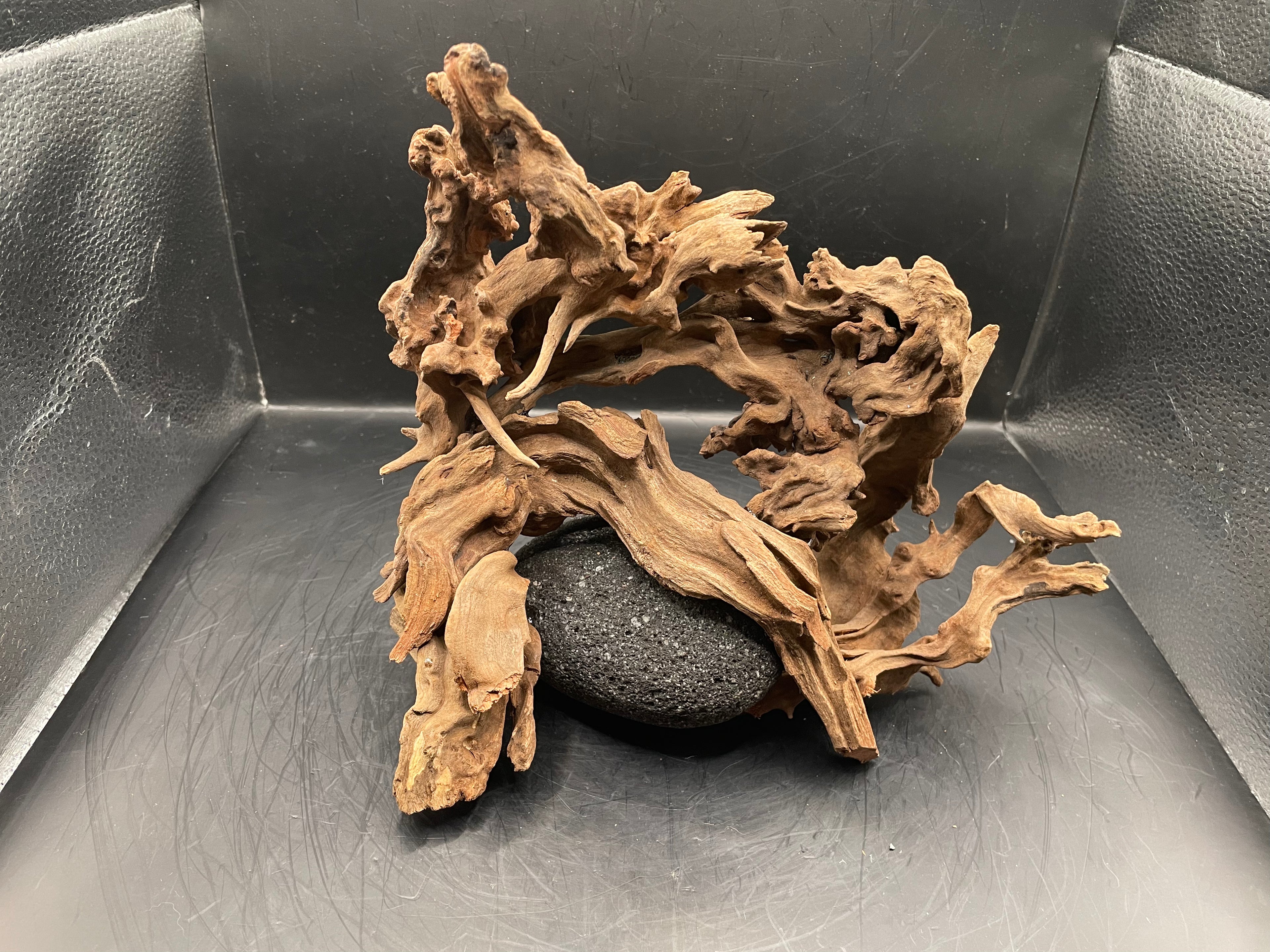 Aquarium Driftwood, Handcrafted Aquascape Unique Decoration - Stormbound Crown