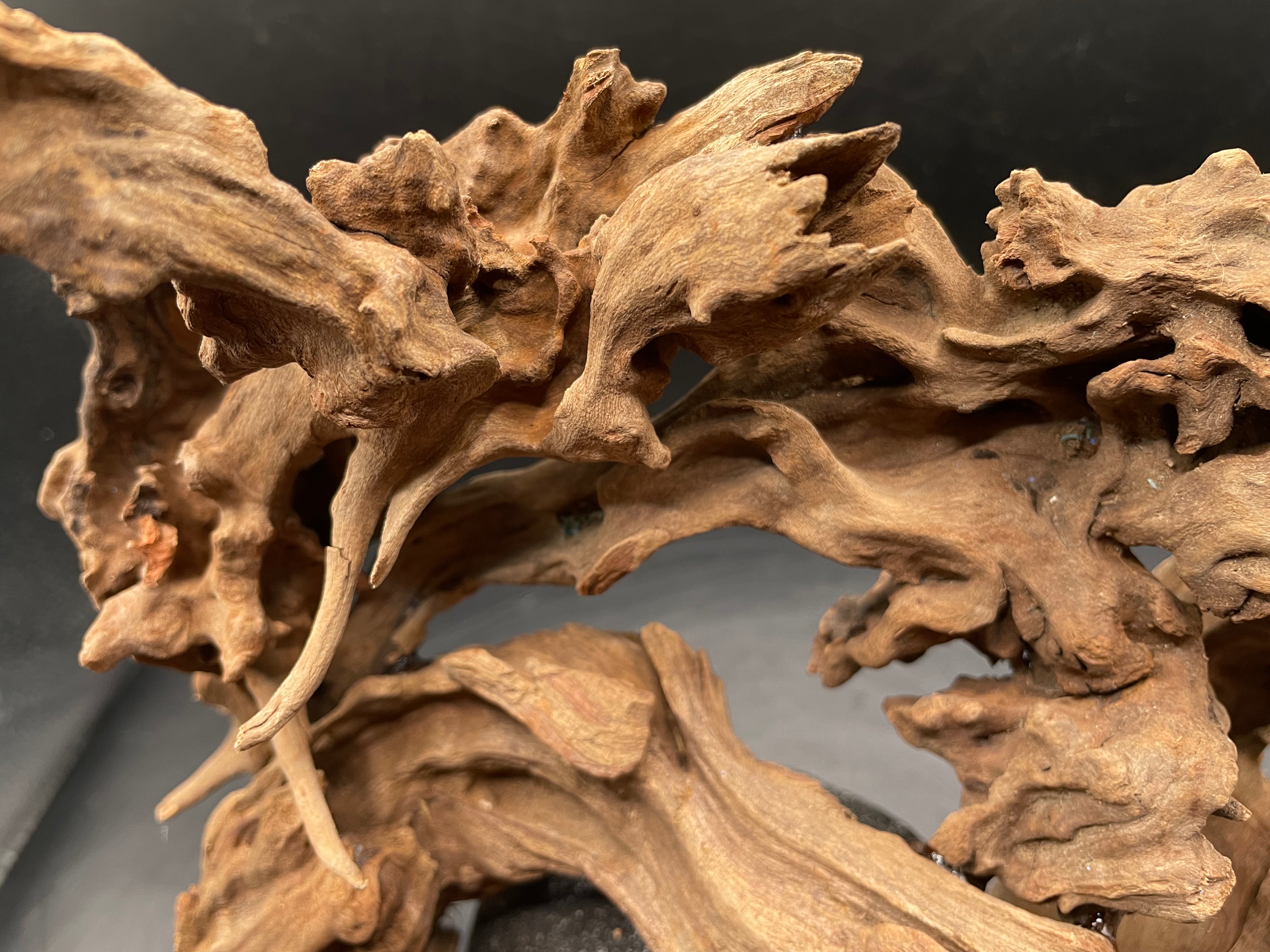 Aquarium Driftwood, Handcrafted Aquascape Unique Decoration - Stormbound Crown