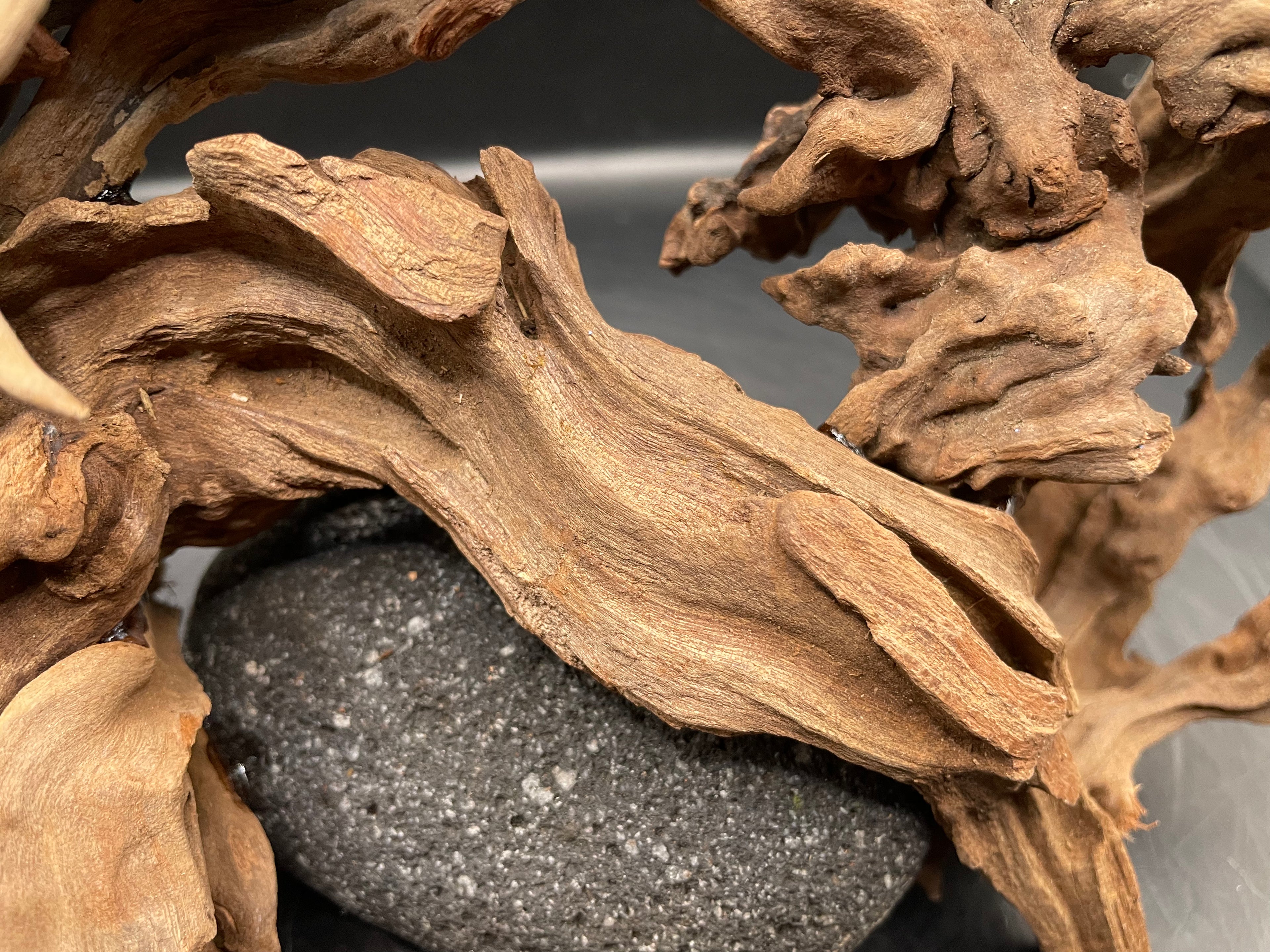 Aquarium Driftwood, Handcrafted Aquascape Unique Decoration - Stormbound Crown