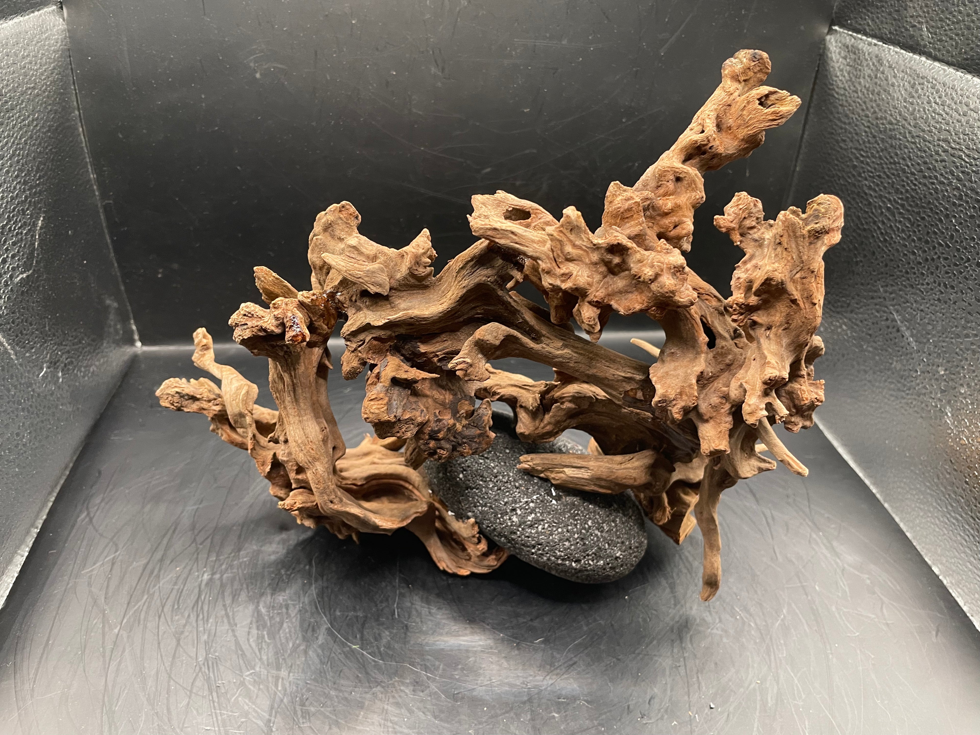 Aquarium Driftwood, Handcrafted Aquascape Unique Decoration - Stormbound Crown