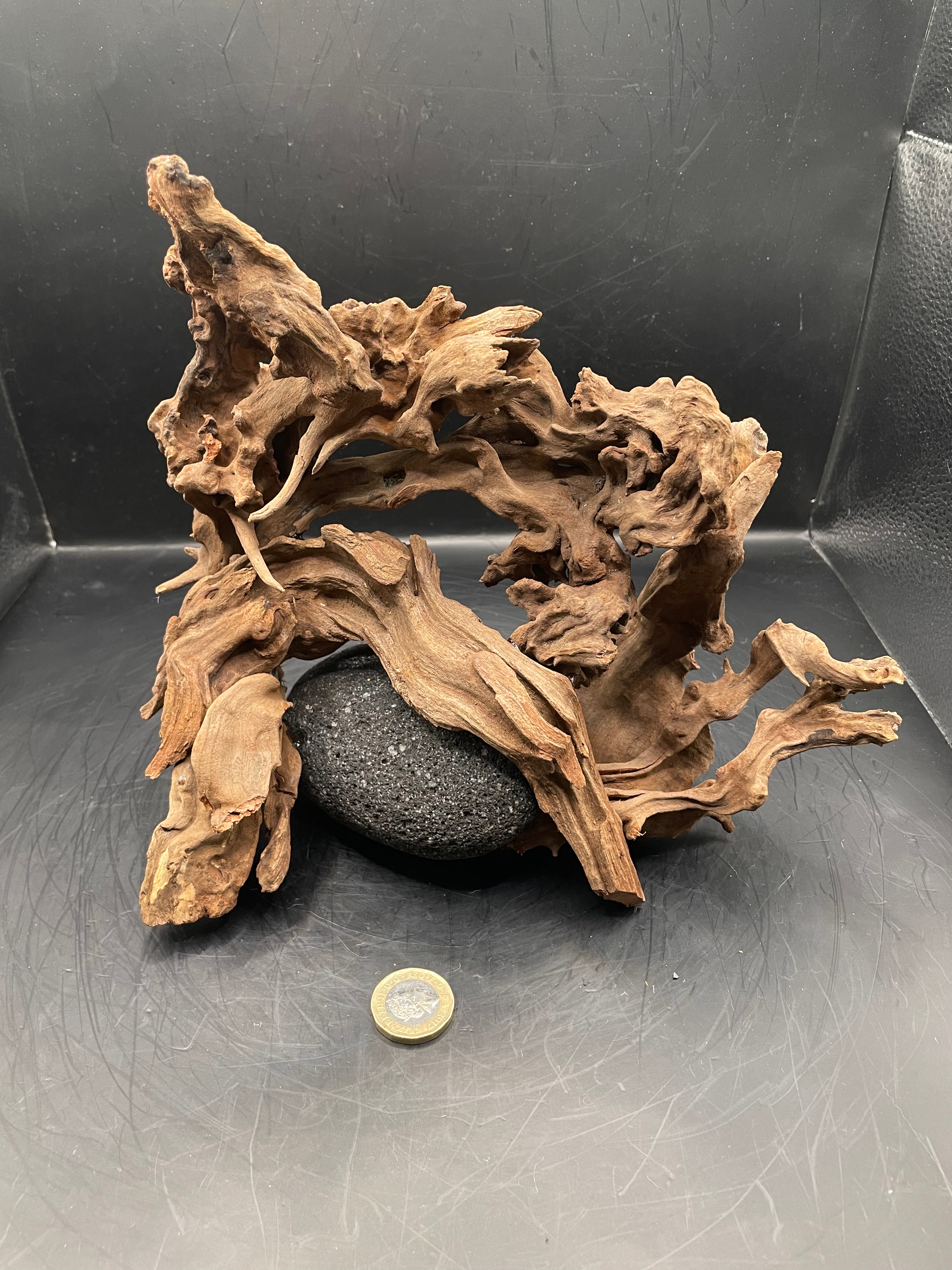Aquarium Driftwood, Handcrafted Aquascape Unique Decoration - Stormbound Crown