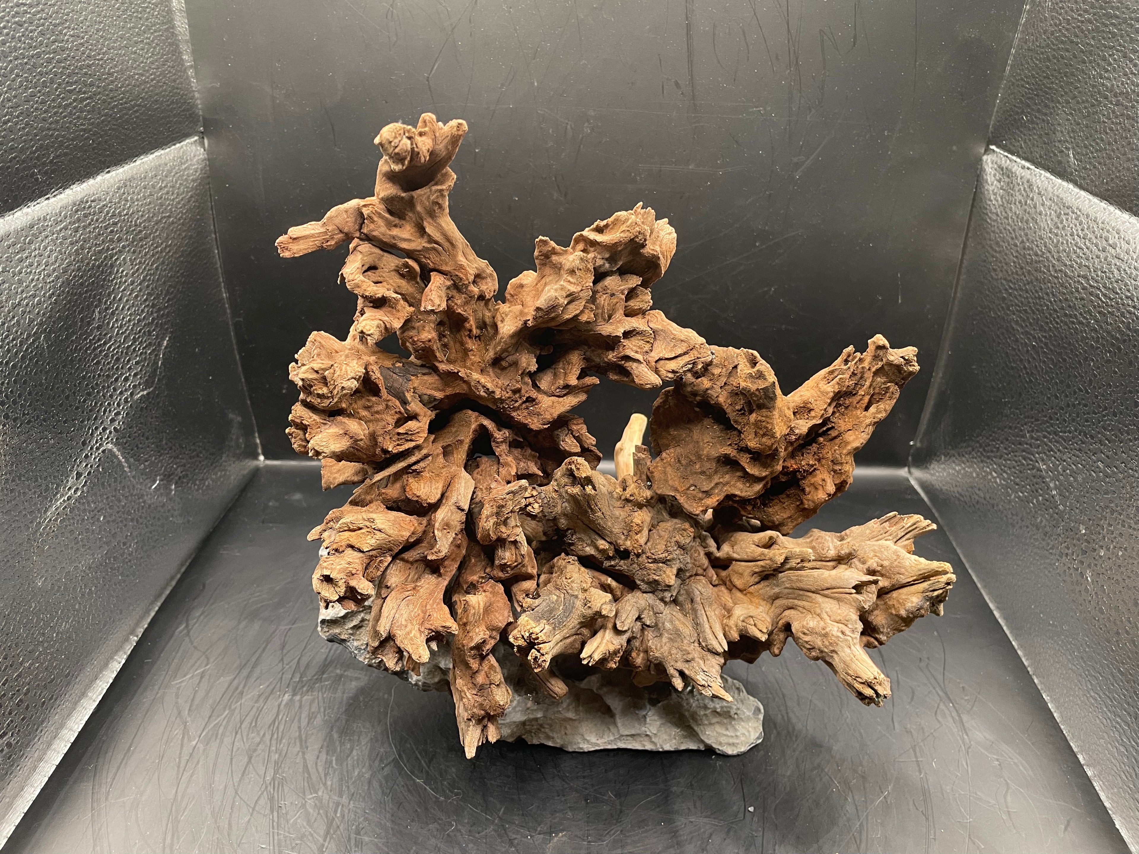 Aquarium Driftwood Handcrafted Aquascape Unique - The Wrath Of Vaelstrom