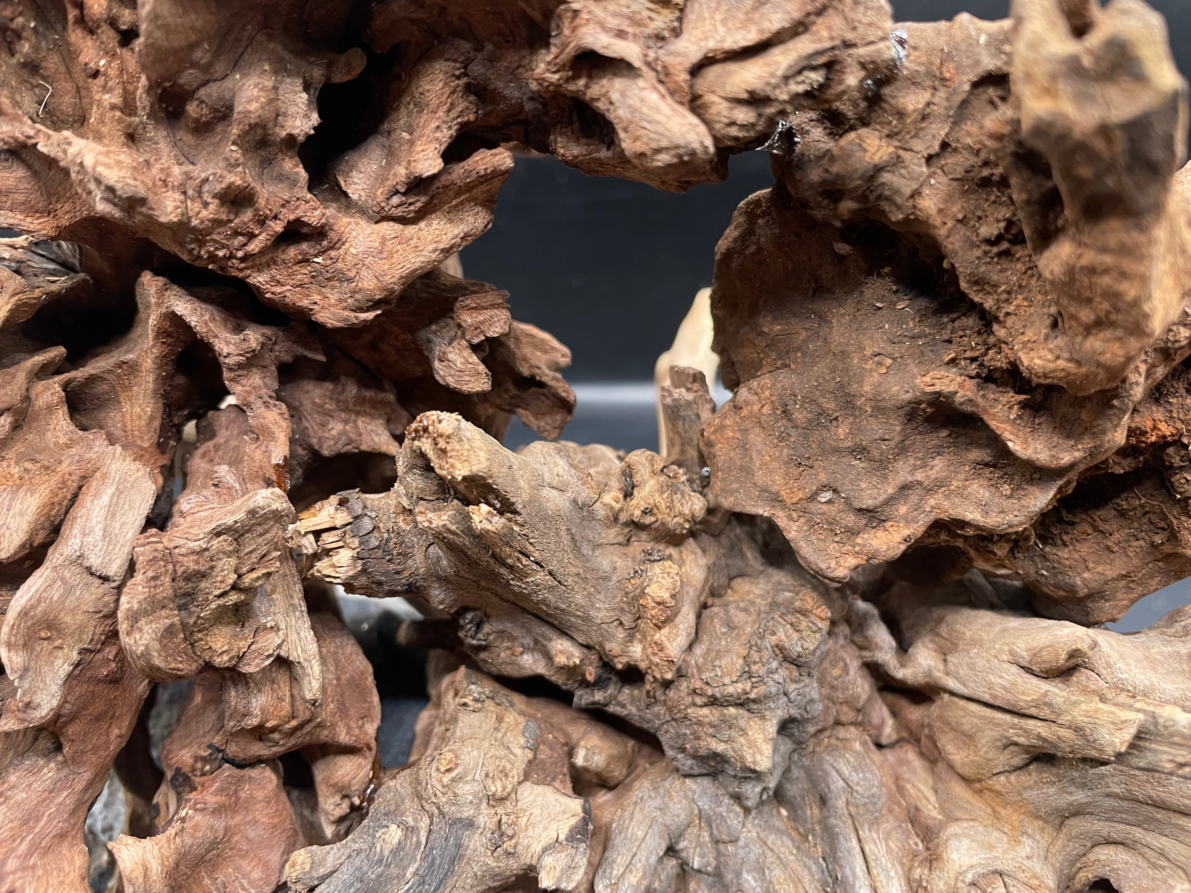 Aquarium Driftwood Handcrafted Aquascape Unique - The Wrath Of Vaelstrom