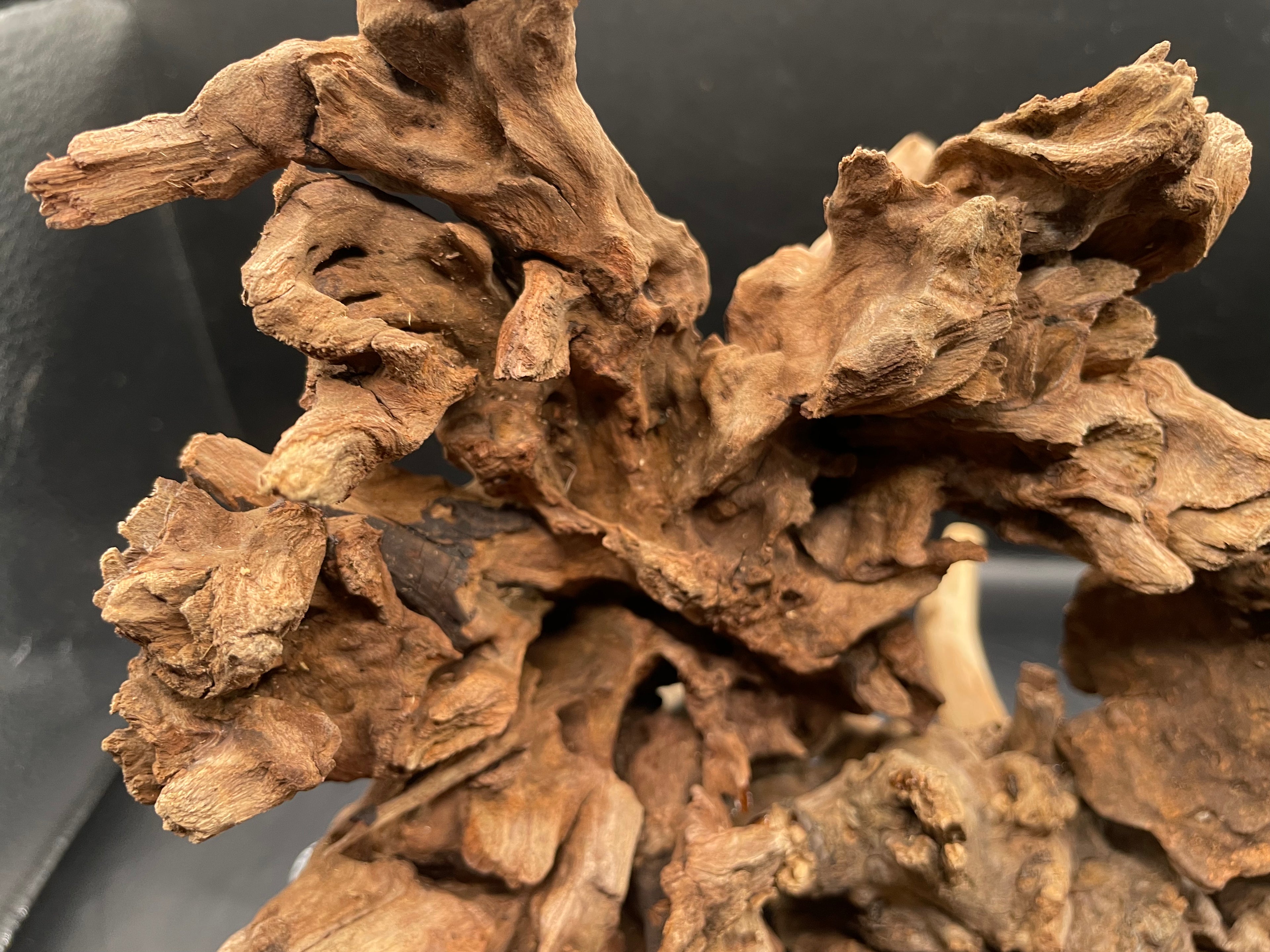 Aquarium Driftwood Handcrafted Aquascape Unique - The Wrath Of Vaelstrom