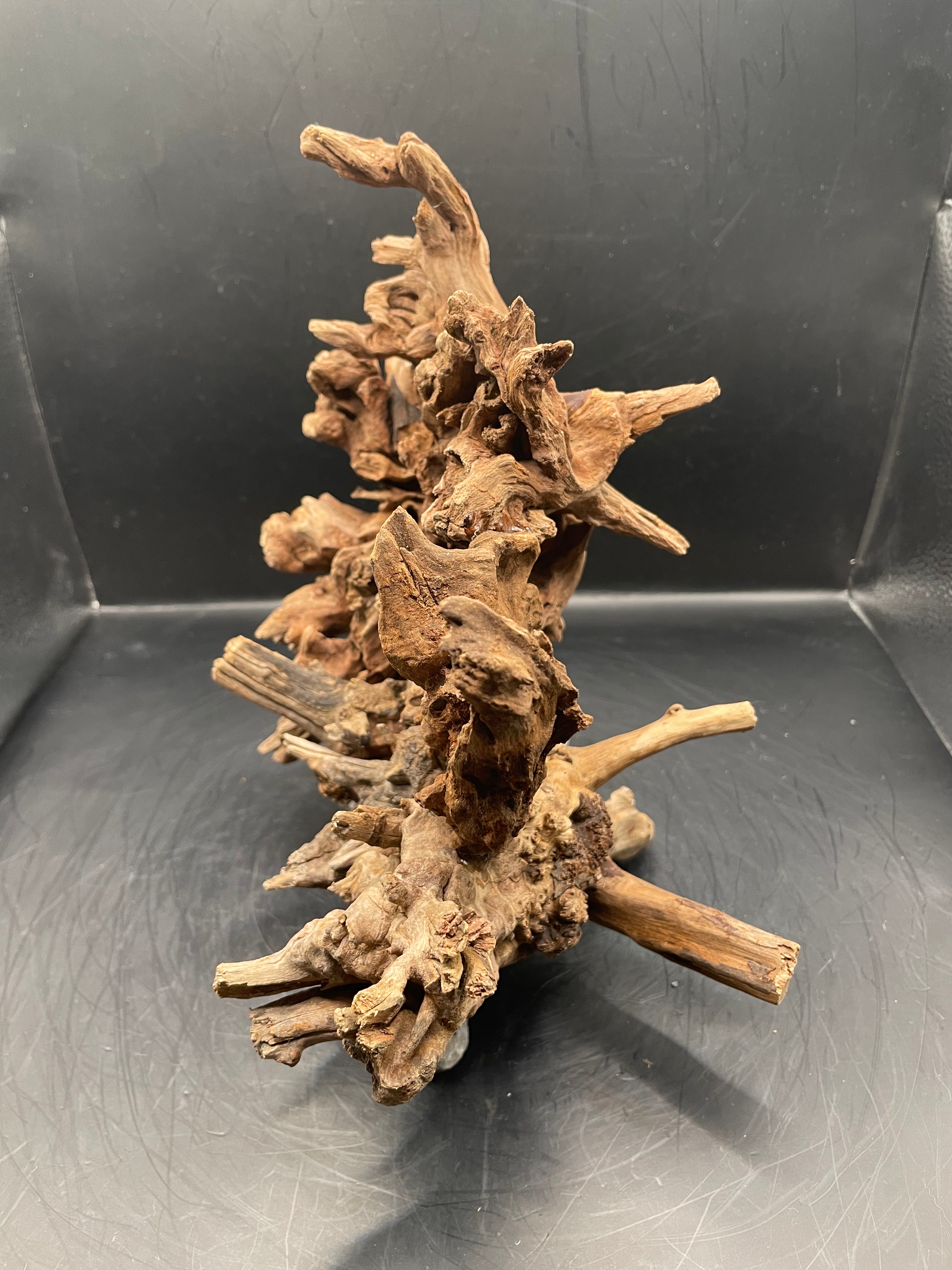 Aquarium Driftwood Handcrafted Aquascape Unique - The Wrath Of Vaelstrom