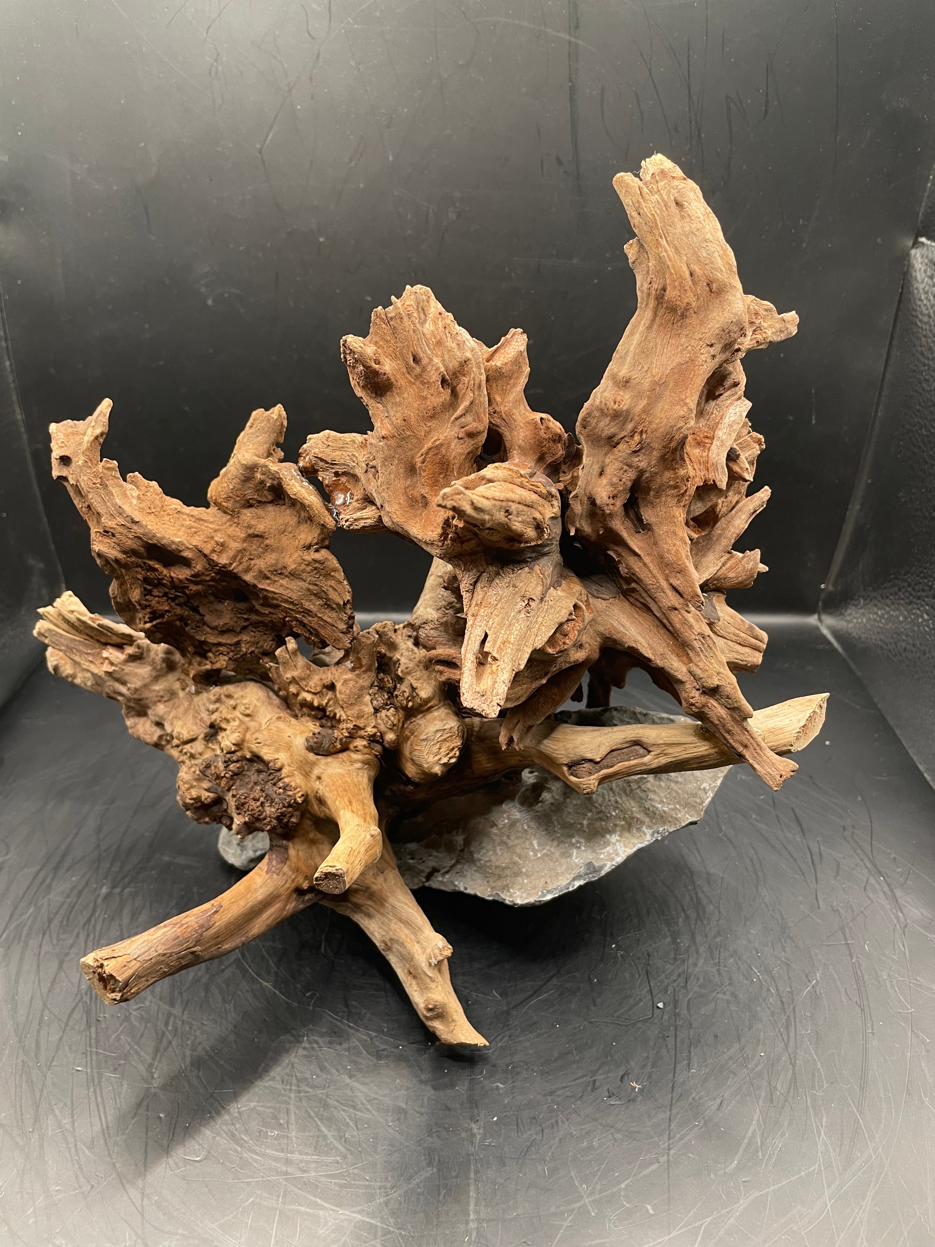 Aquarium Driftwood Handcrafted Aquascape Unique - The Wrath Of Vaelstrom