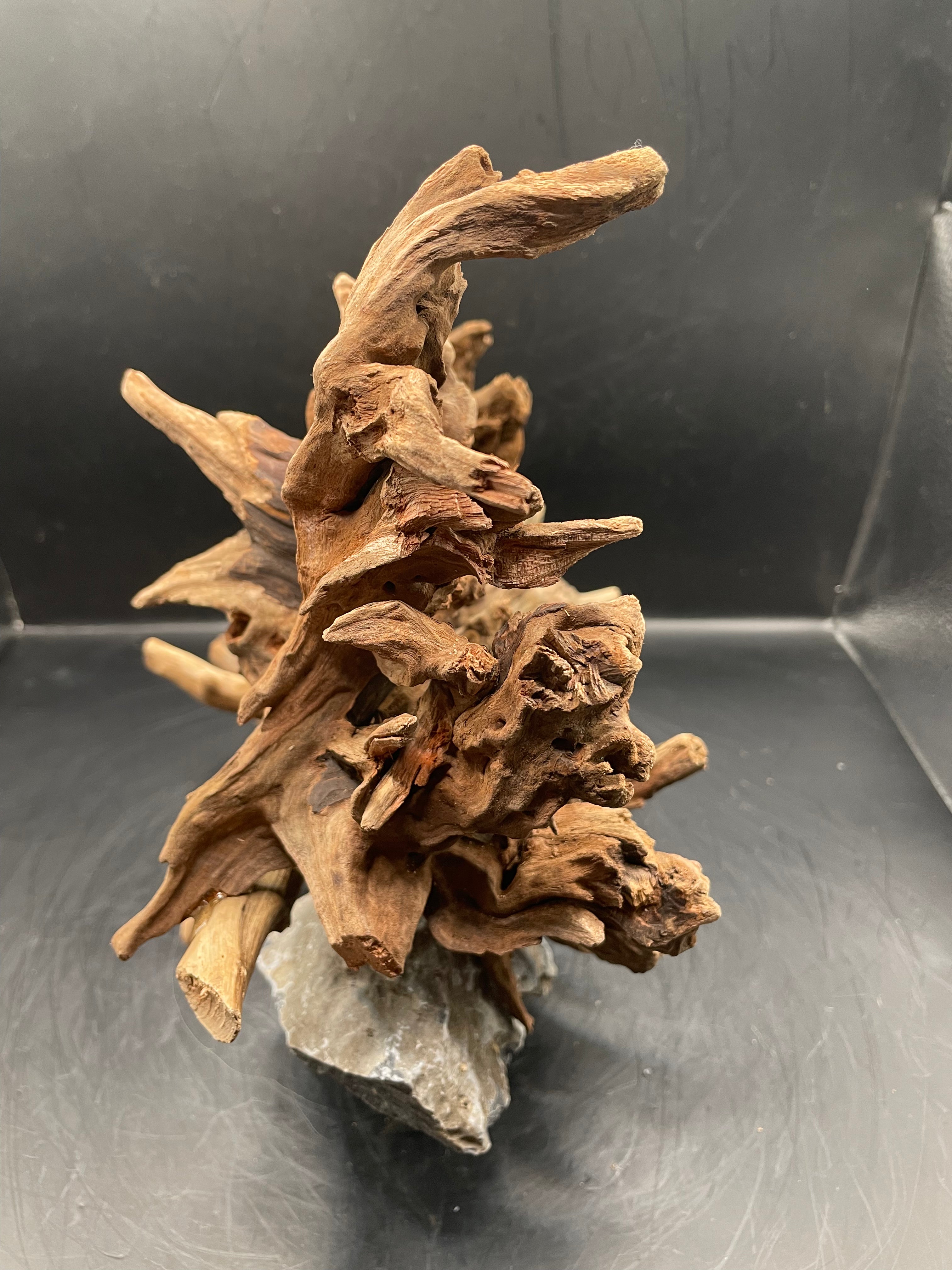 Aquarium Driftwood Handcrafted Aquascape Unique - The Wrath Of Vaelstrom