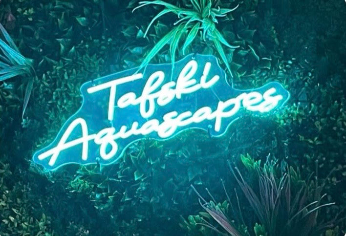 The Vault  Gift Card