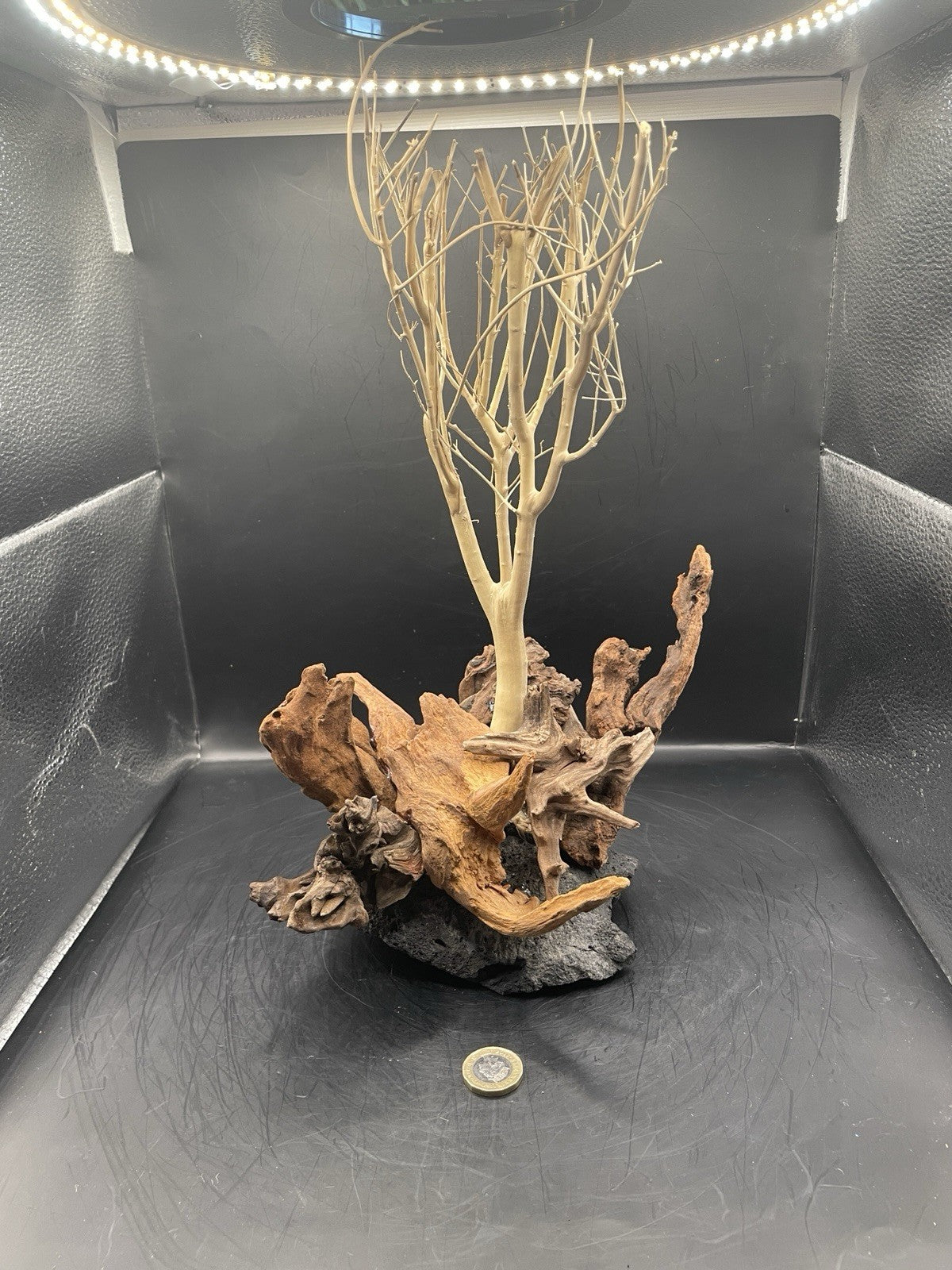 Aquarium Driftwood Wood Mix Natural Aquascape Design Unique - Katia