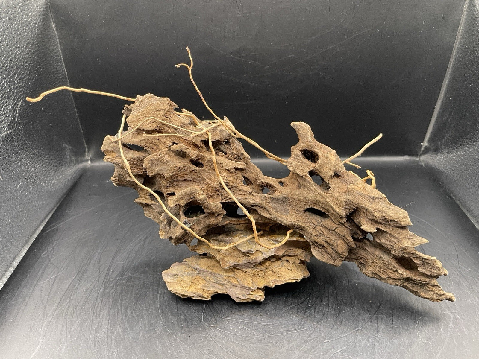Aquarium Driftwood Handcrafted Aquascape Unique - The Triad of Thorne