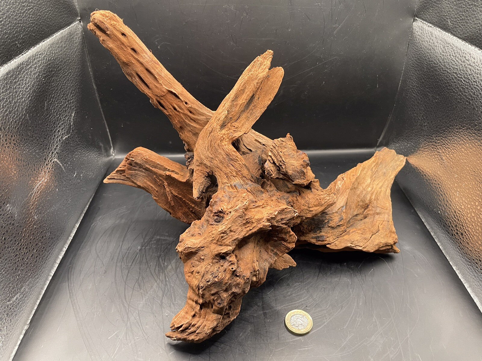 Aquarium Driftwood Wood Natural Aquascape Fish Tank - Gnarleth’s Refuge