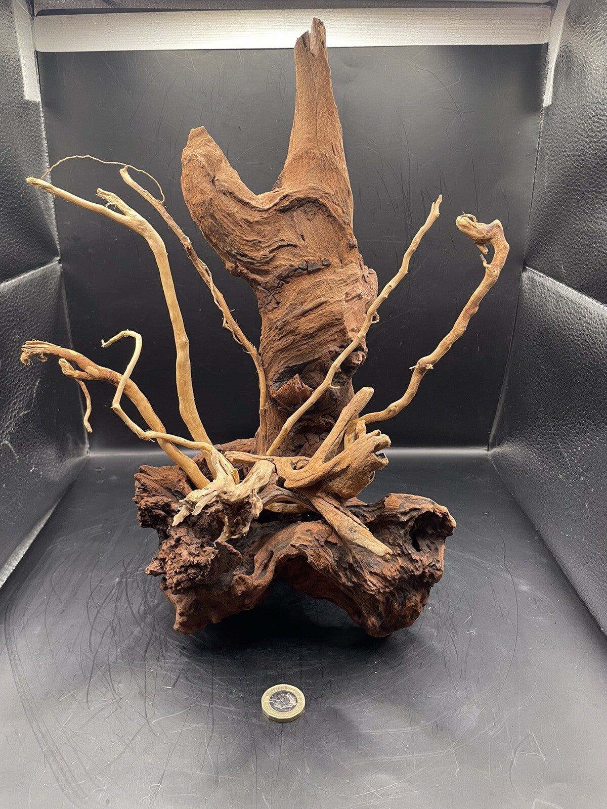 Aquarium Driftwood Wood Mix Natural Aquascape Design Unique - Drifthorn Sentinel