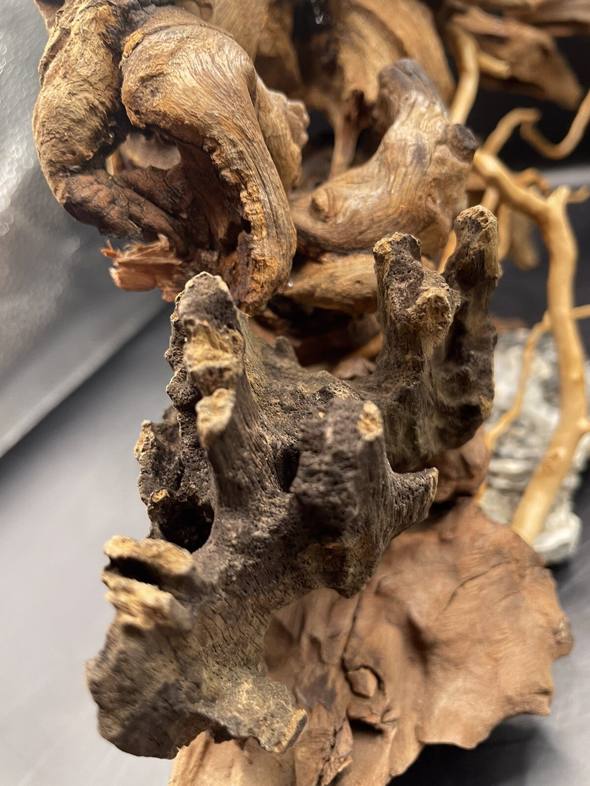 Aquarium Driftwood Wood Mix Natural Aquascape Design Unique -The Rootbound Heart
