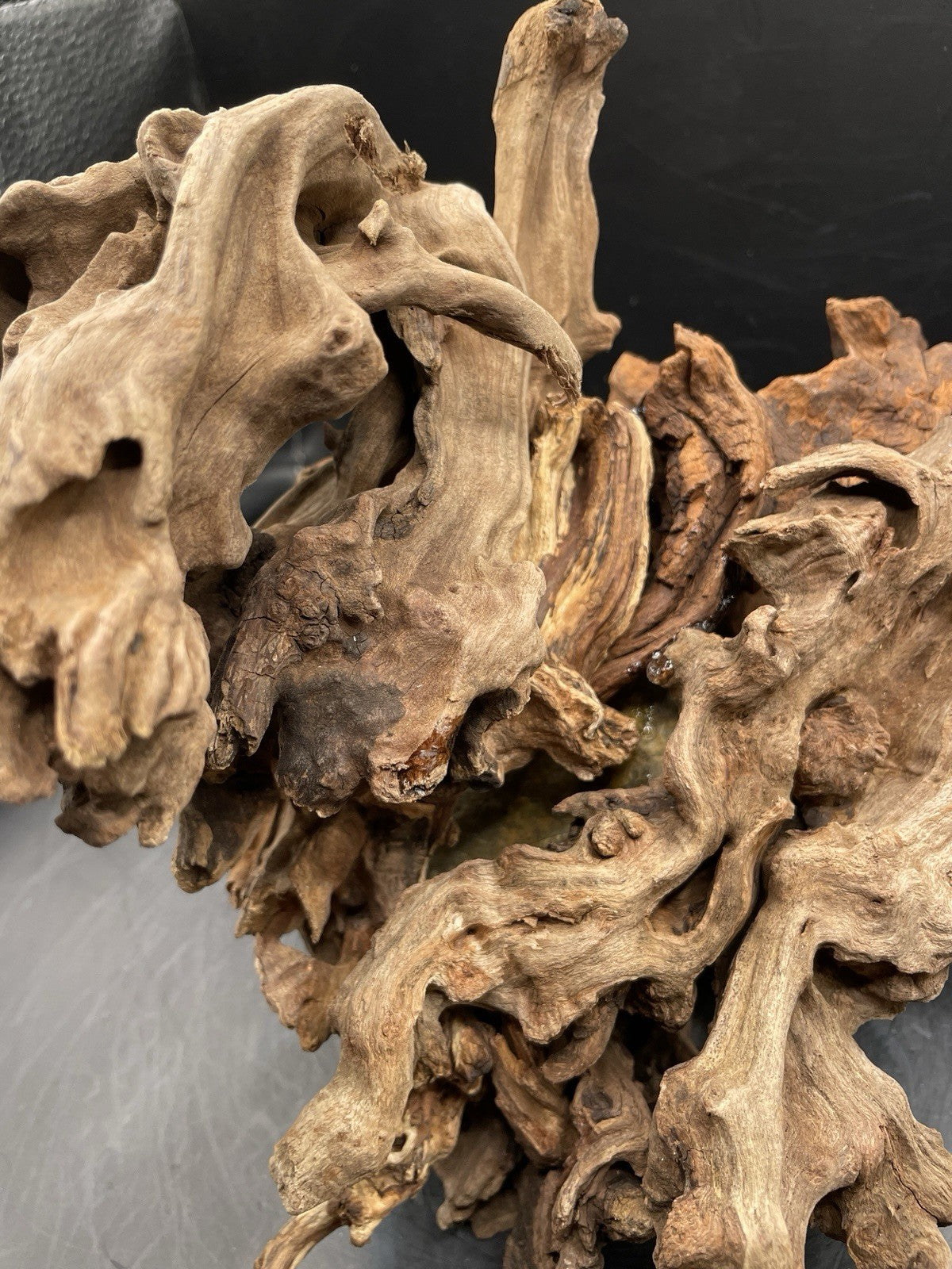 Aquarium Driftwood Handcrafted Aquascape Unique Decoration - Seraphroot.