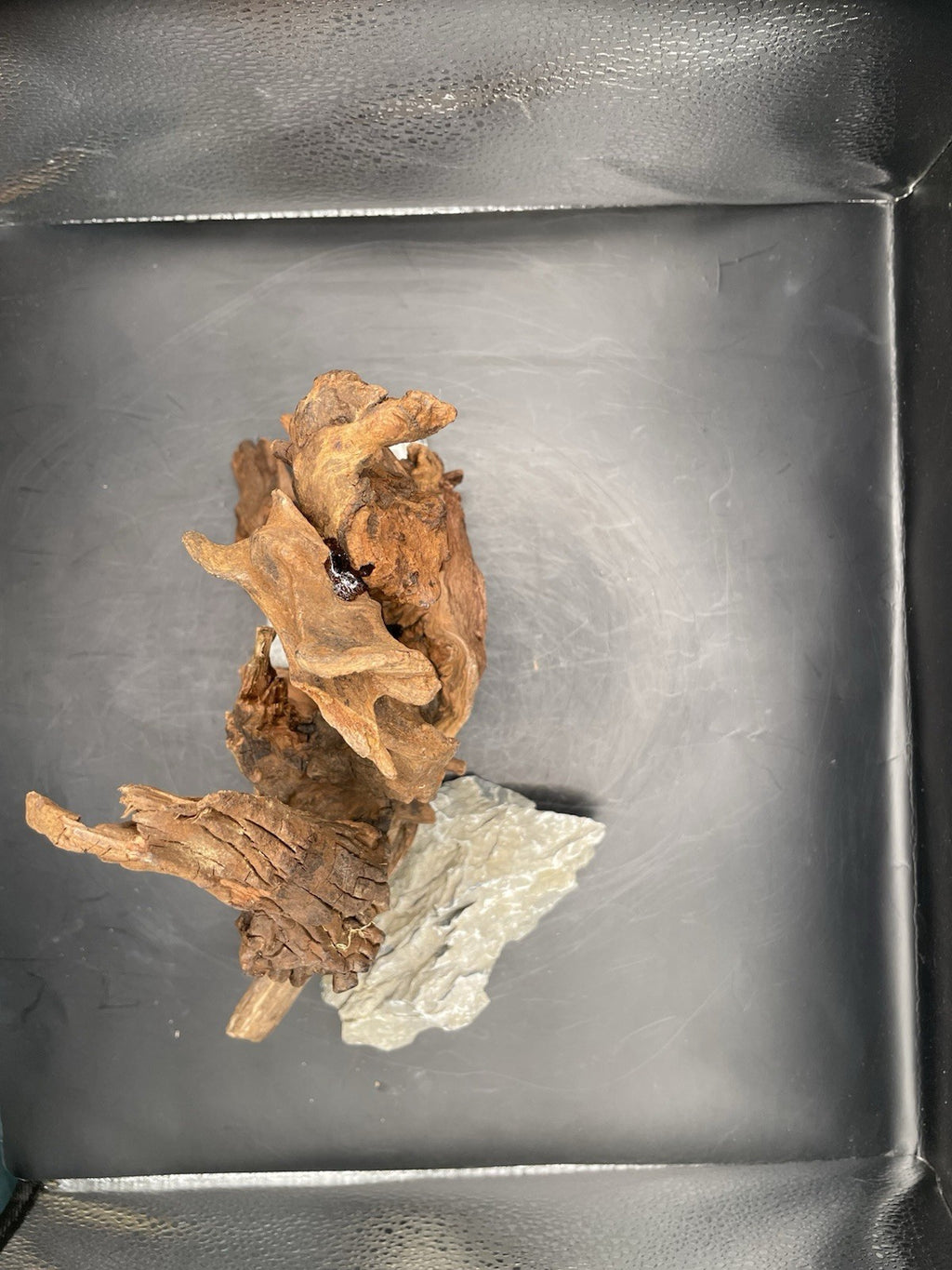 Aquarium Driftwood, Handcrafted Aquascape Unique Decoration - Elderhowl