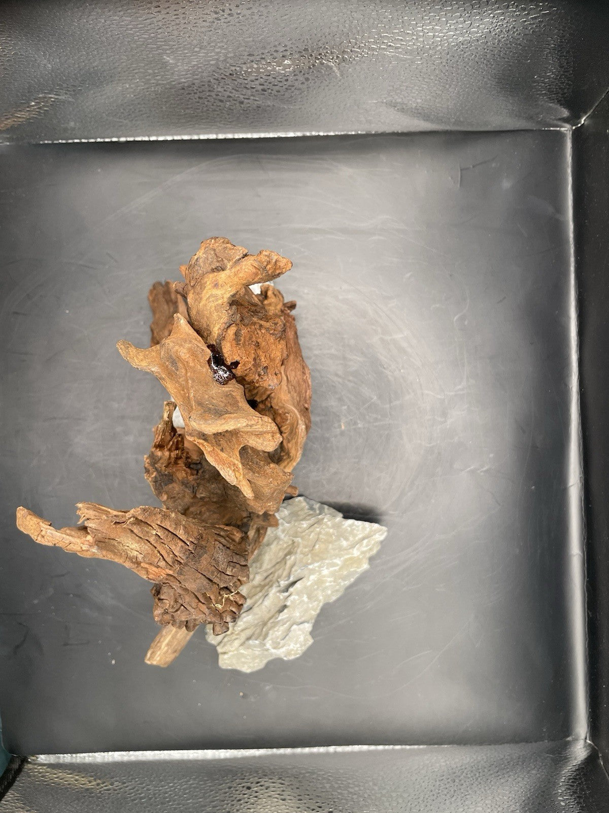 Aquarium Driftwood, Handcrafted Aquascape Unique Decoration - Elderhowl