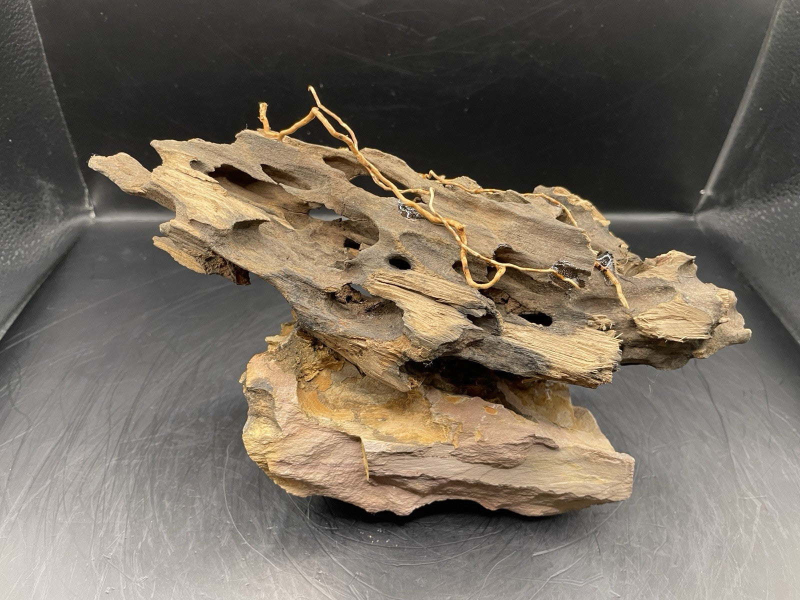 Aquarium Driftwood Handcrafted Aquascape Unique - The Triad of Thorne