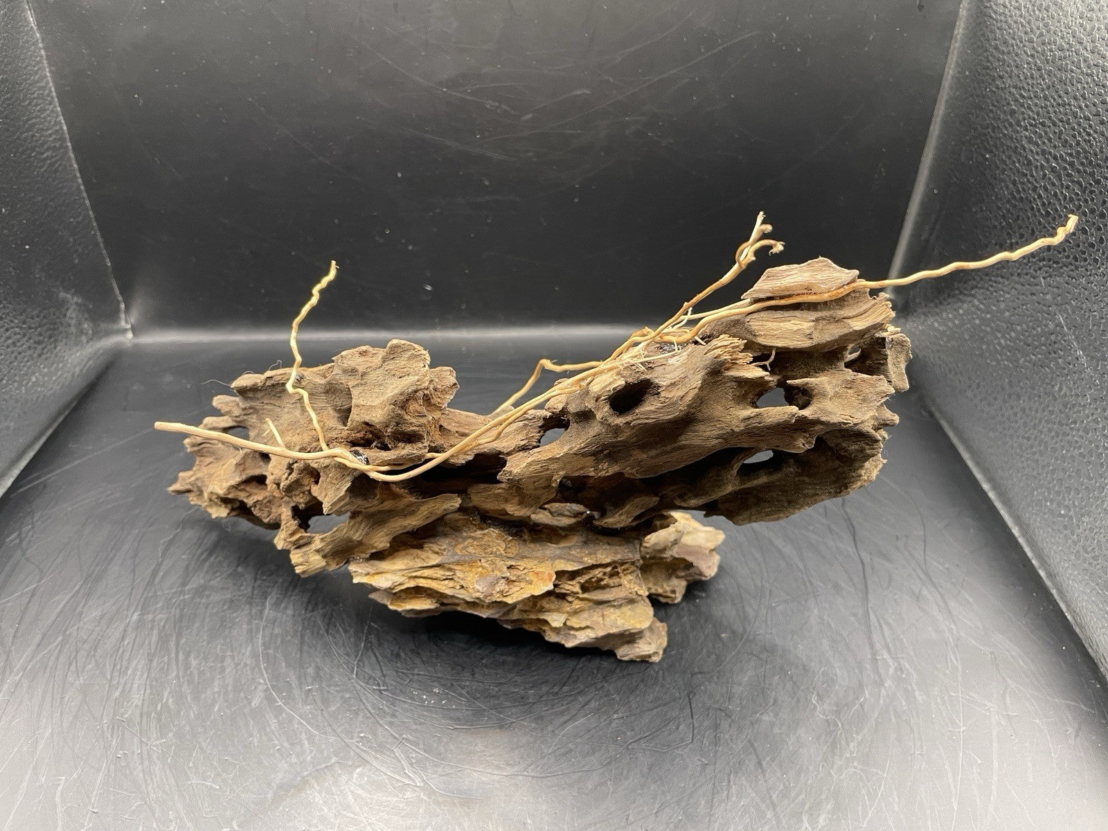Aquarium Driftwood Handcrafted Aquascape Unique - The Triad of Thorne