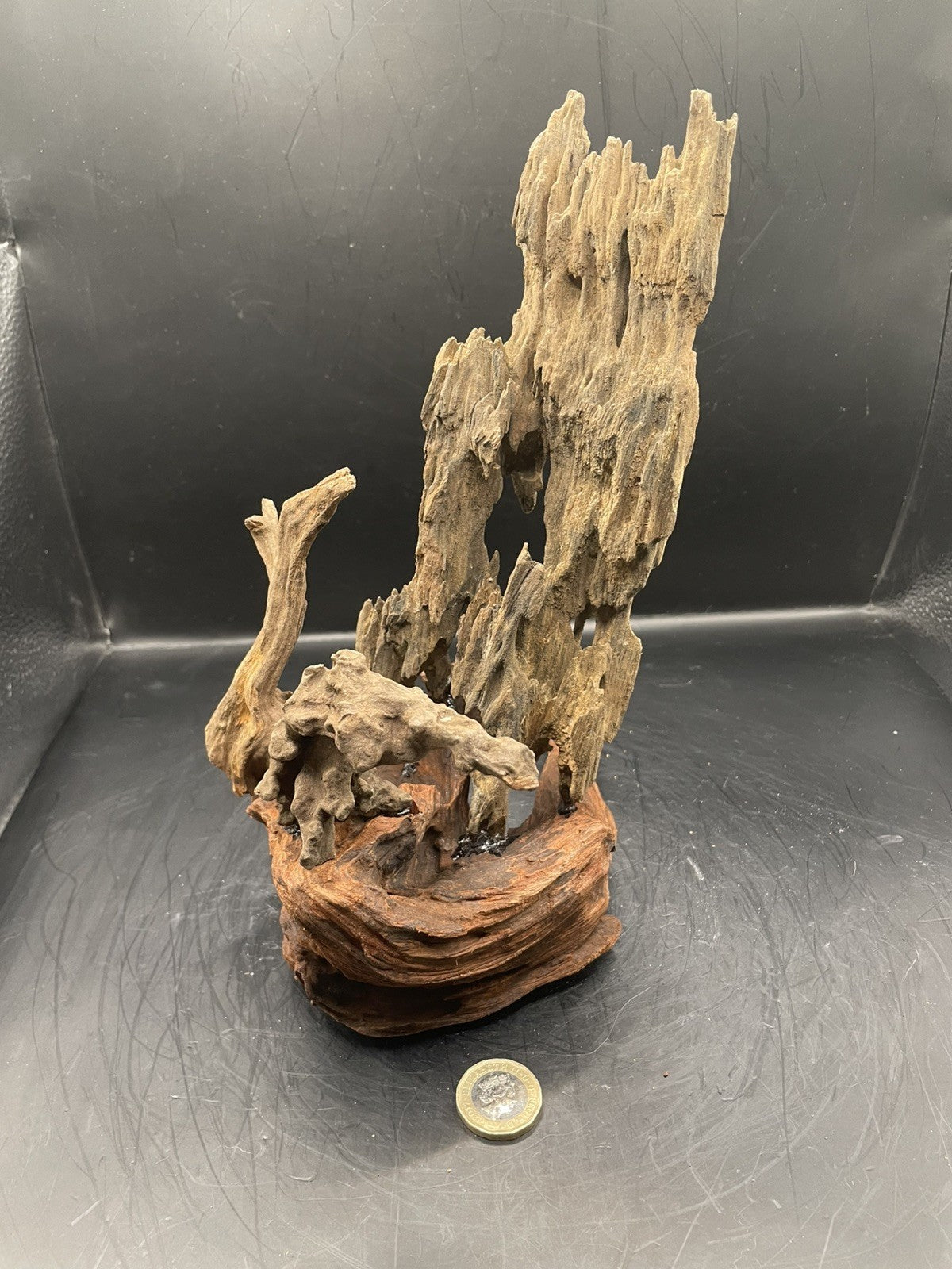 Aquarium Driftwood, Handcrafted Aquascape Unique Decoration - Deep In The Cave