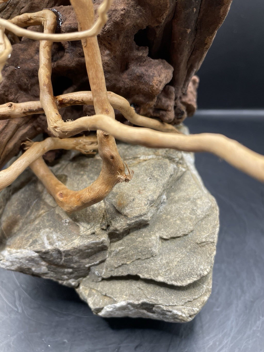 Aquarium Driftwood Handcrafted Aquascape Unique - The Bramble Reliquary