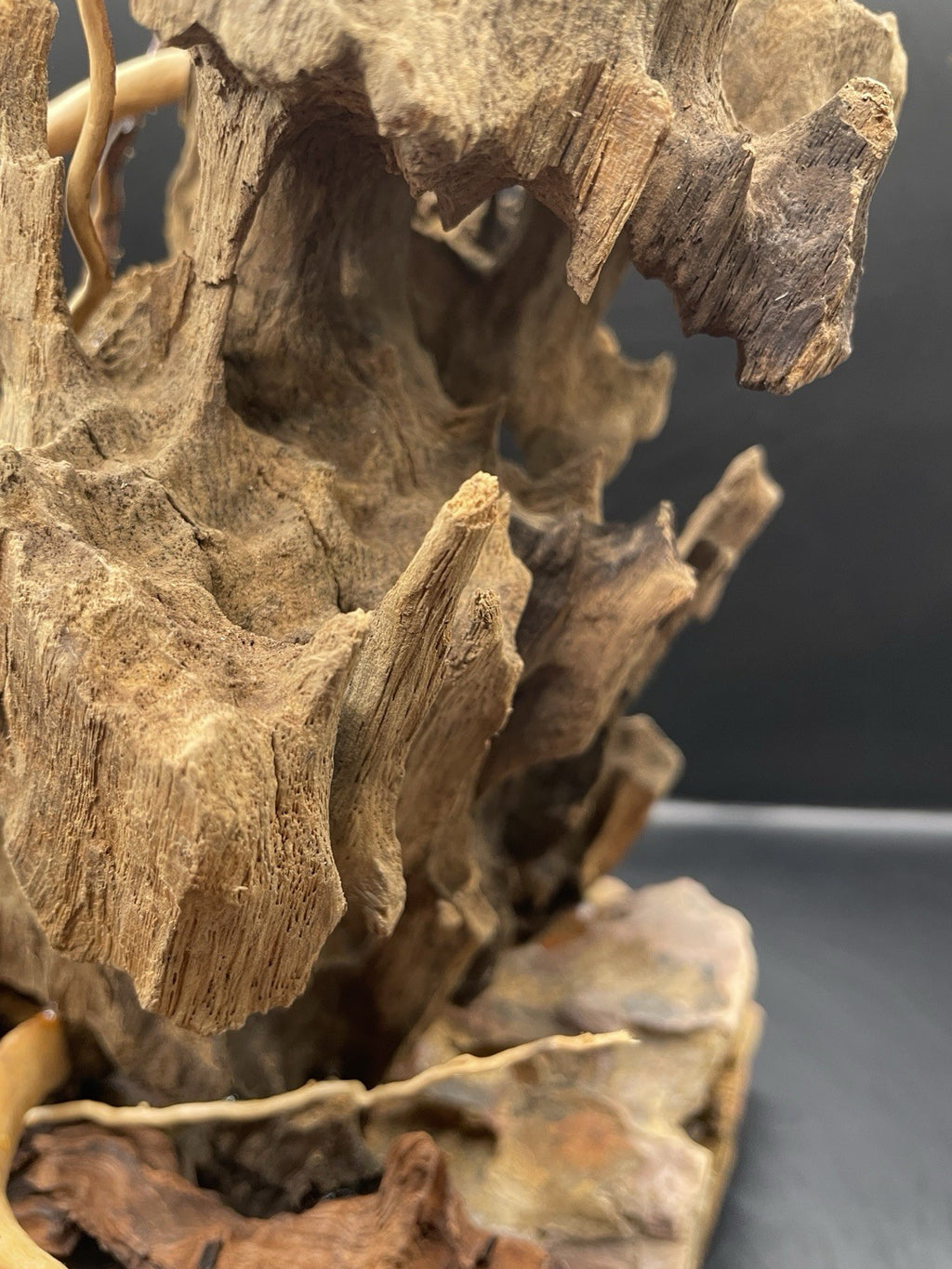 Aquarium Driftwood Handcrafted Aquascape Unique - Fenbone Gate