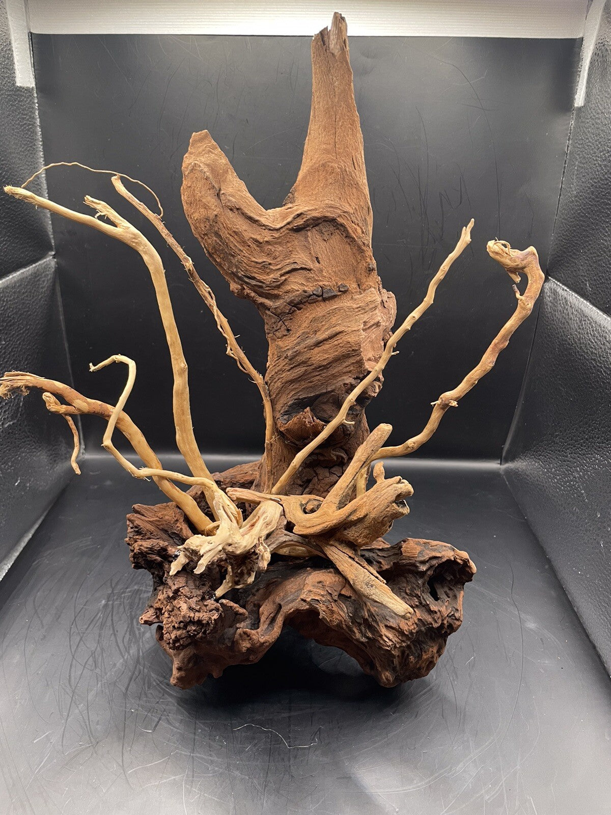 Aquarium Driftwood Wood Mix Natural Aquascape Design Unique - Drifthorn Sentinel