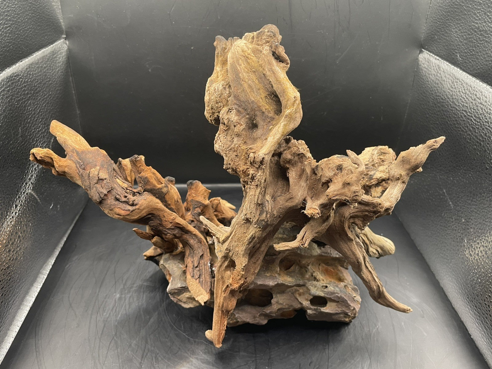 Aquarium Driftwood, Handcrafted Aquascape Unique Decoration - Skycoil