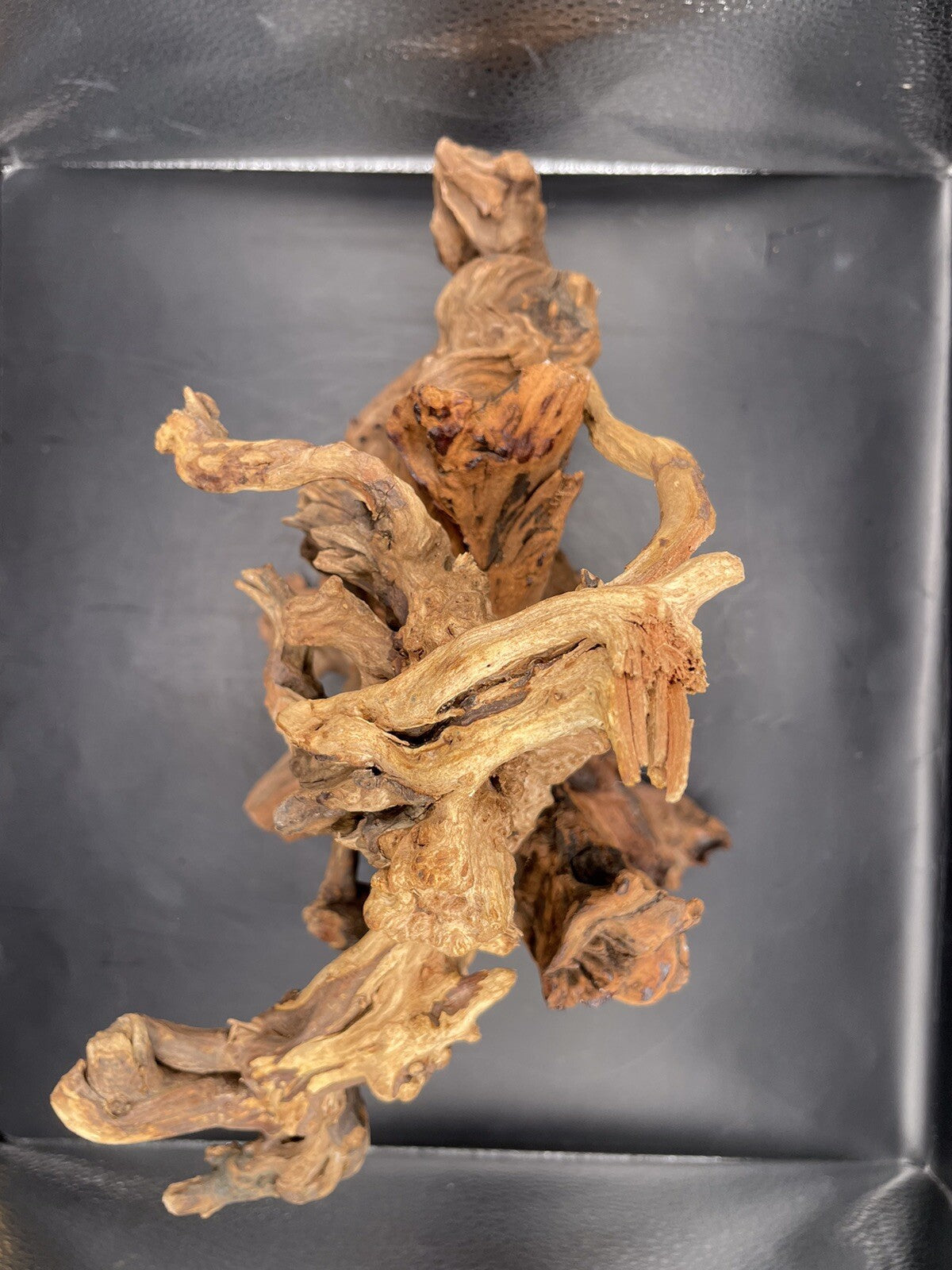 Aquarium Driftwood Wood Mix Natural Aquascape Design Unique - Serpents Spine