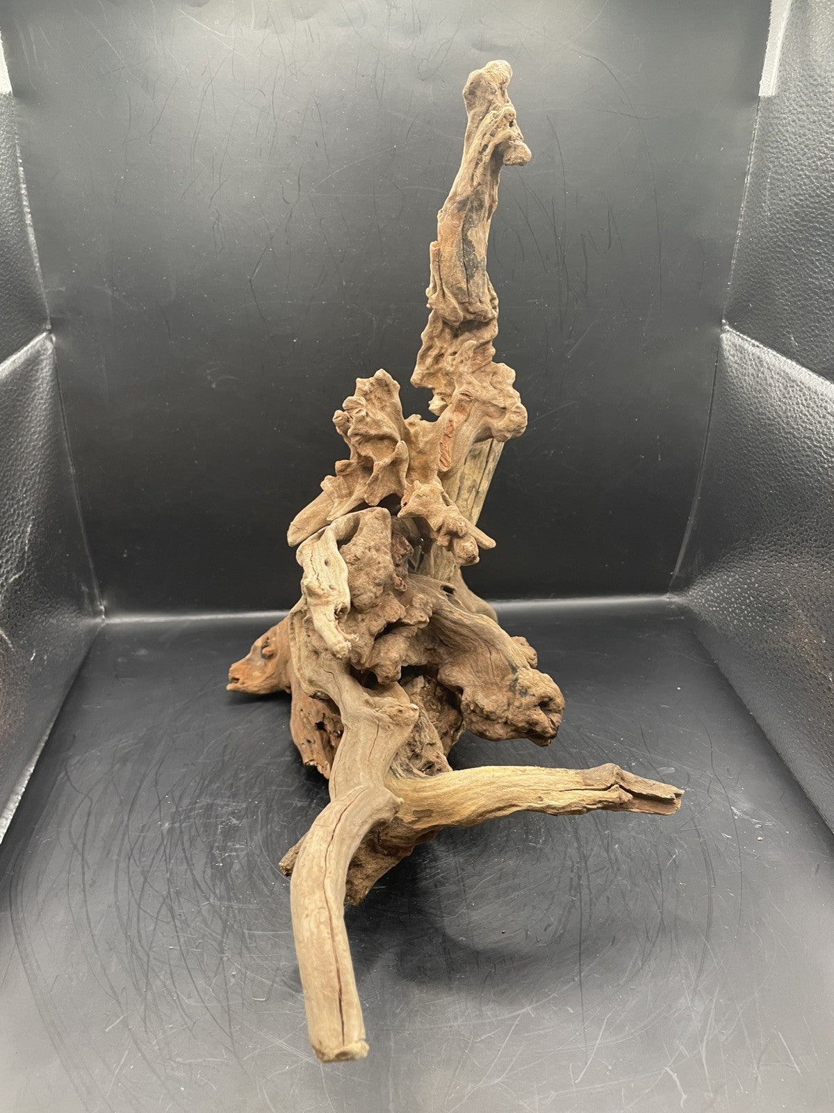 Aquarium Driftwood, Handcrafted Aquascape Unique Decoration - Stormperch