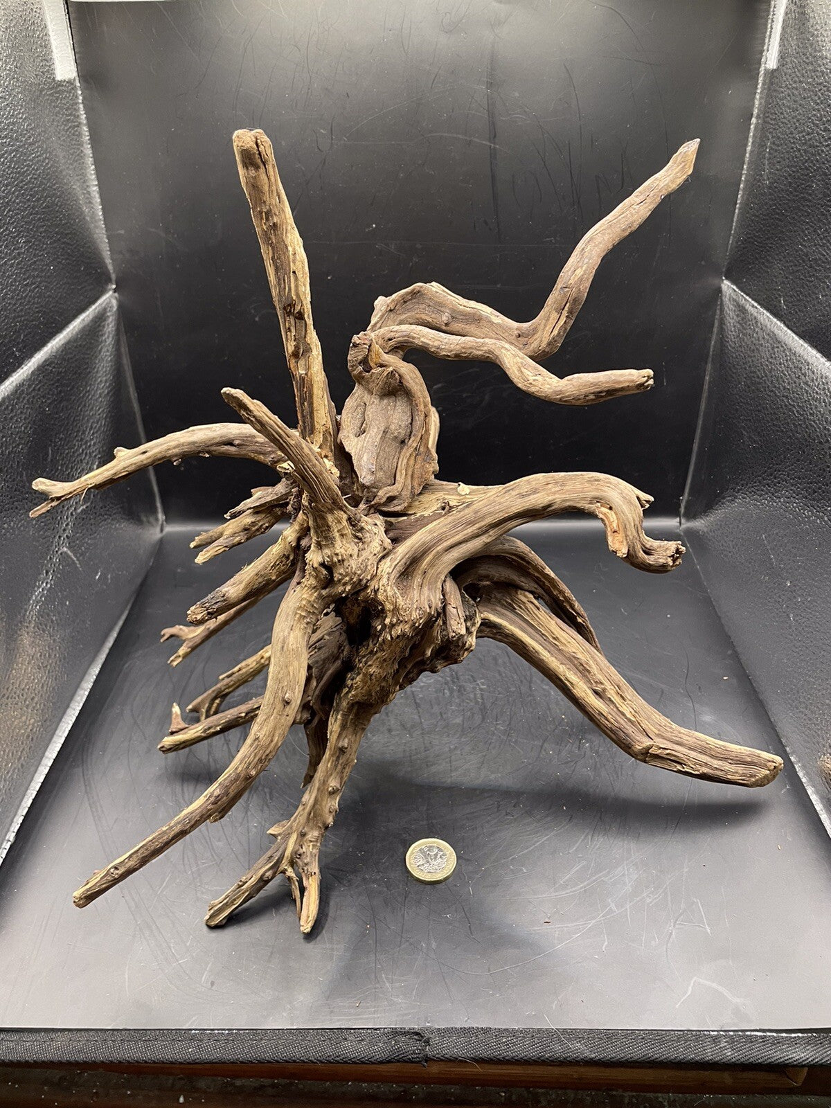 Aquarium Driftwood Wood Natural Aquascape Fish Tank - Spire Burst Root