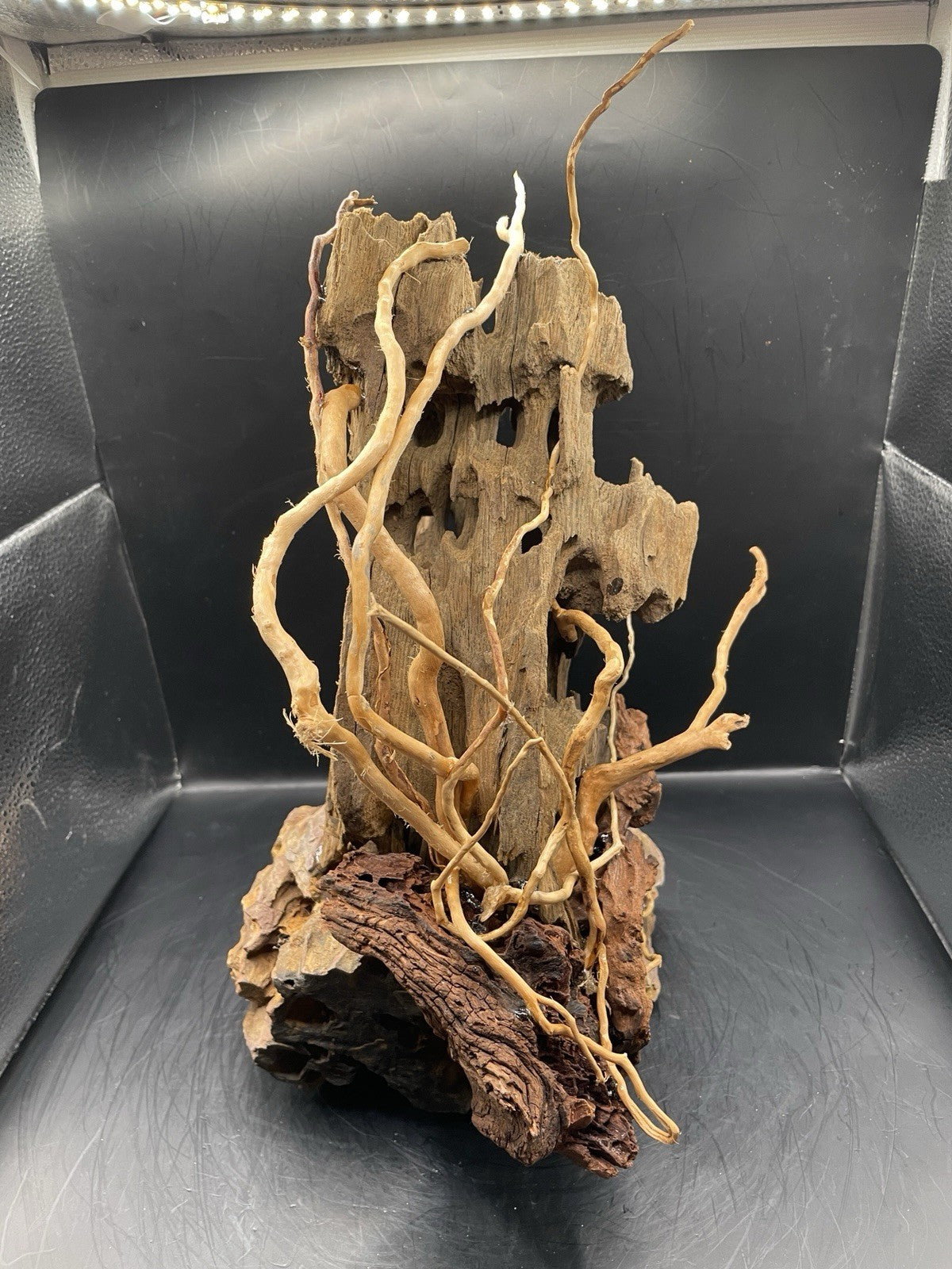 Aquarium Driftwood Handcrafted Aquascape Unique - Fenbone Gate