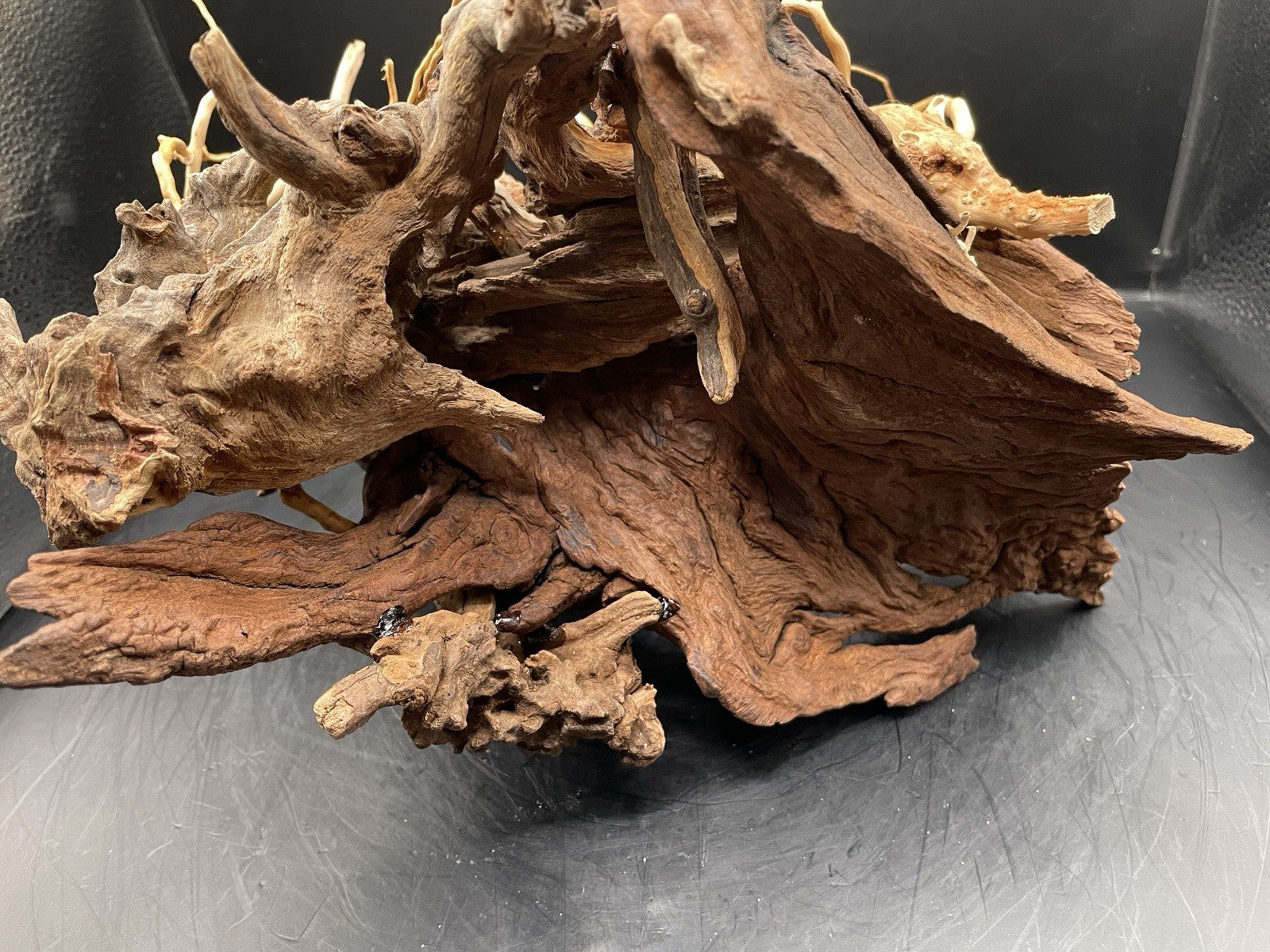 Aquarium Vivarium Driftwood Handcrafted Unique Cave Decoration-The Silvan Maw