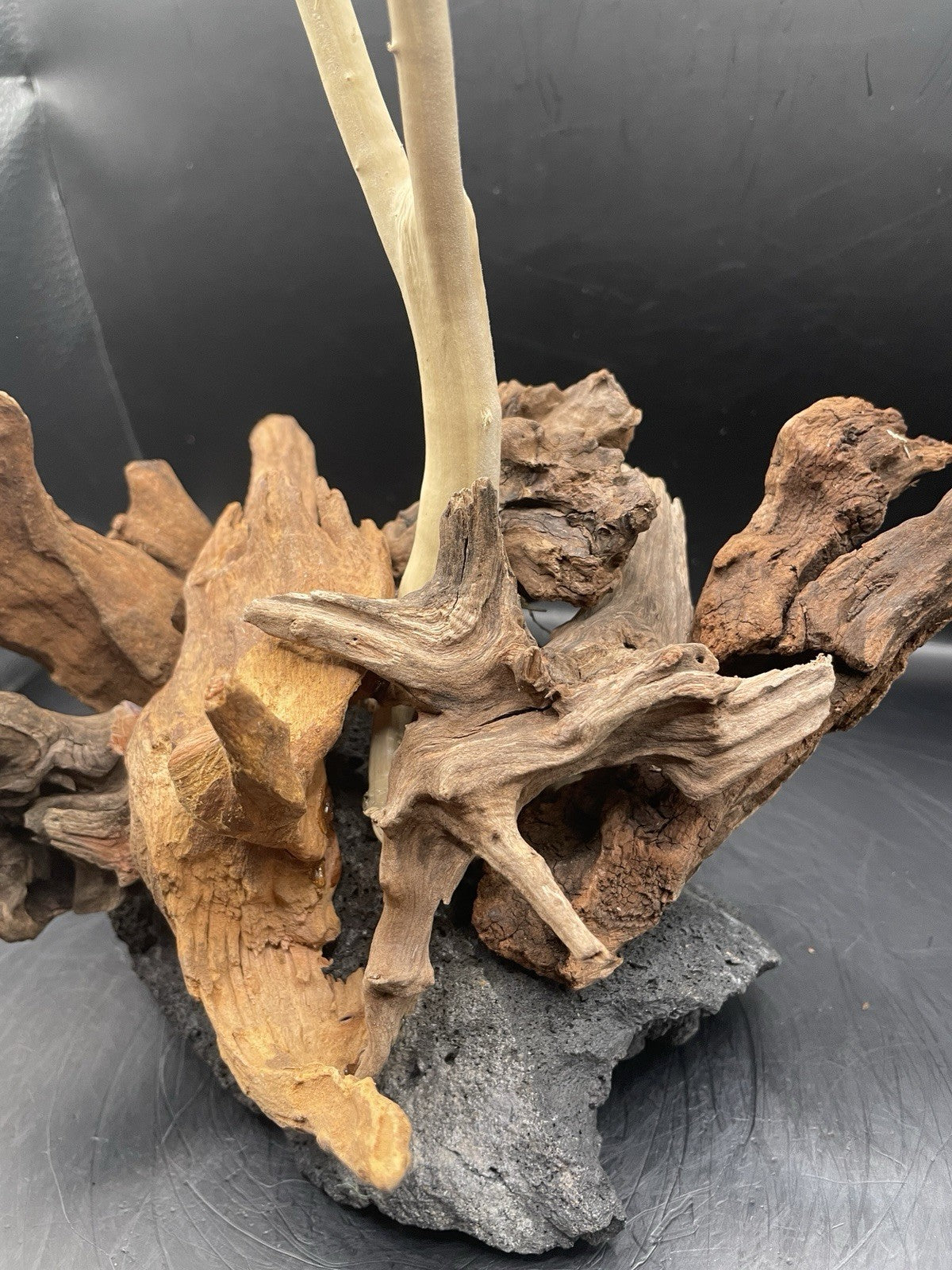Aquarium Driftwood Wood Mix Natural Aquascape Design Unique - Katia