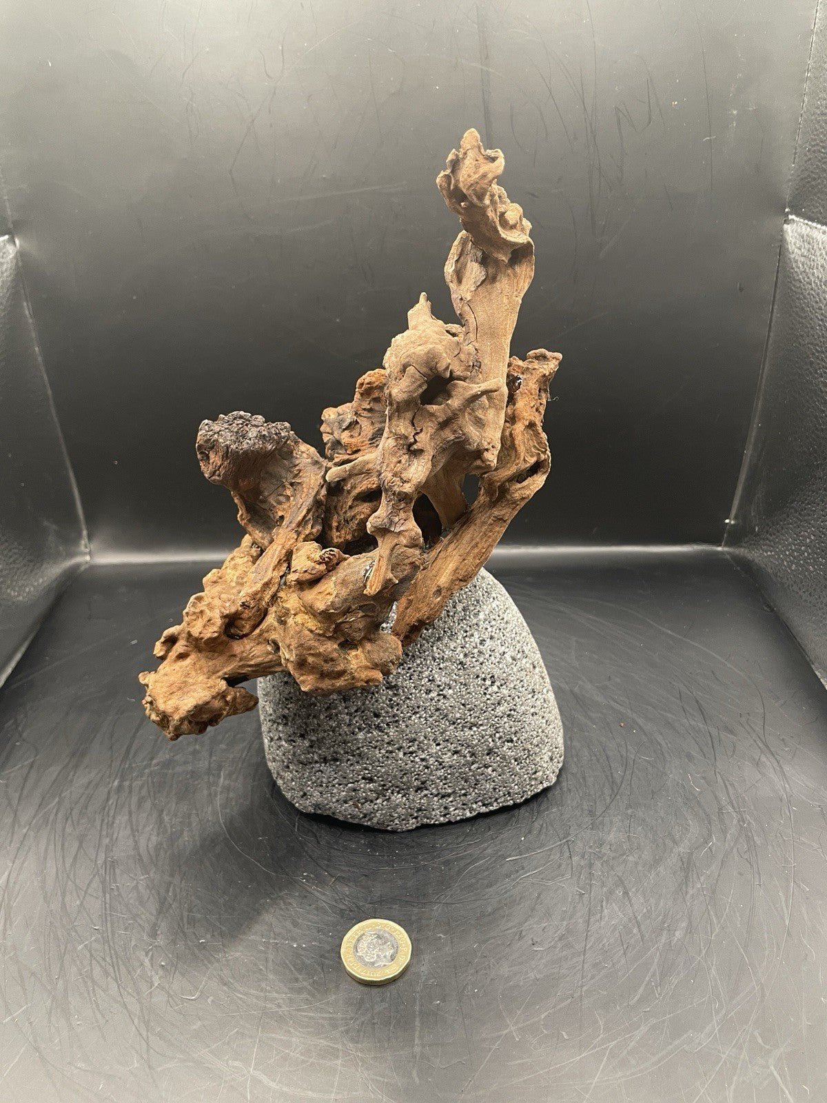 Aquarium Driftwood Handcrafted Aquascape Unique Lava Rock - Stomboli